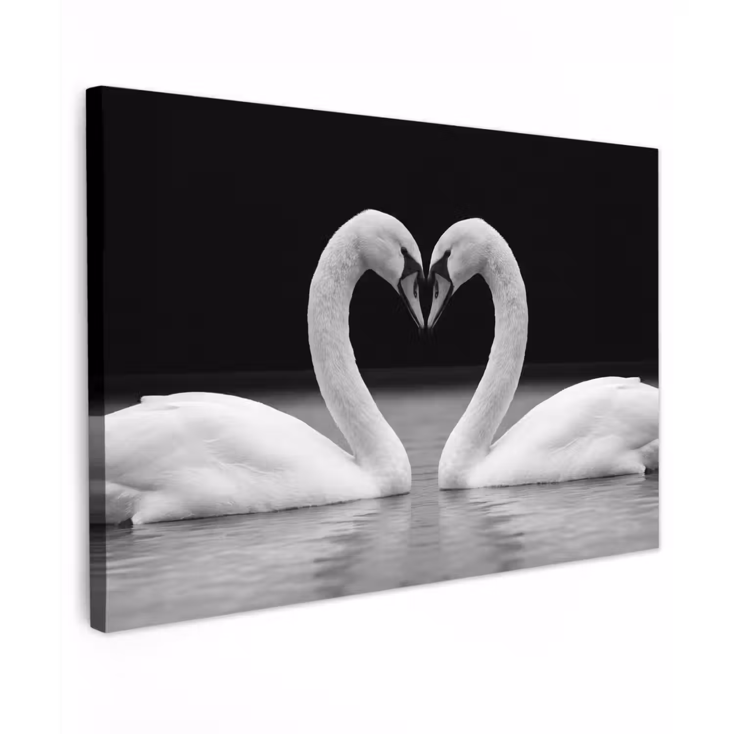 Zwanen - Hart - Zwart - Wit canvas 2cm klein -z3d
