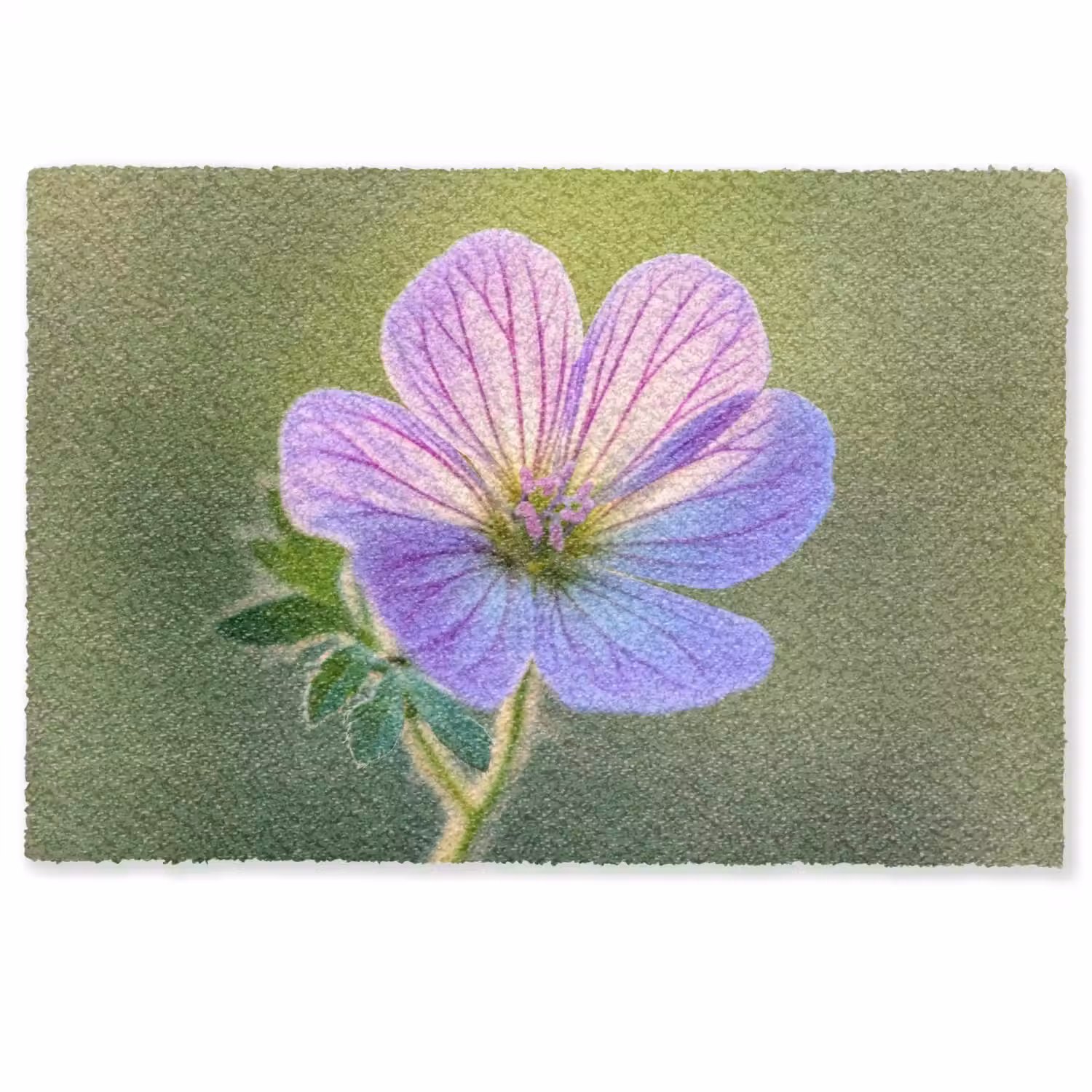 Bloem - Close up - Paars Deurmat klein -zkaufland3d