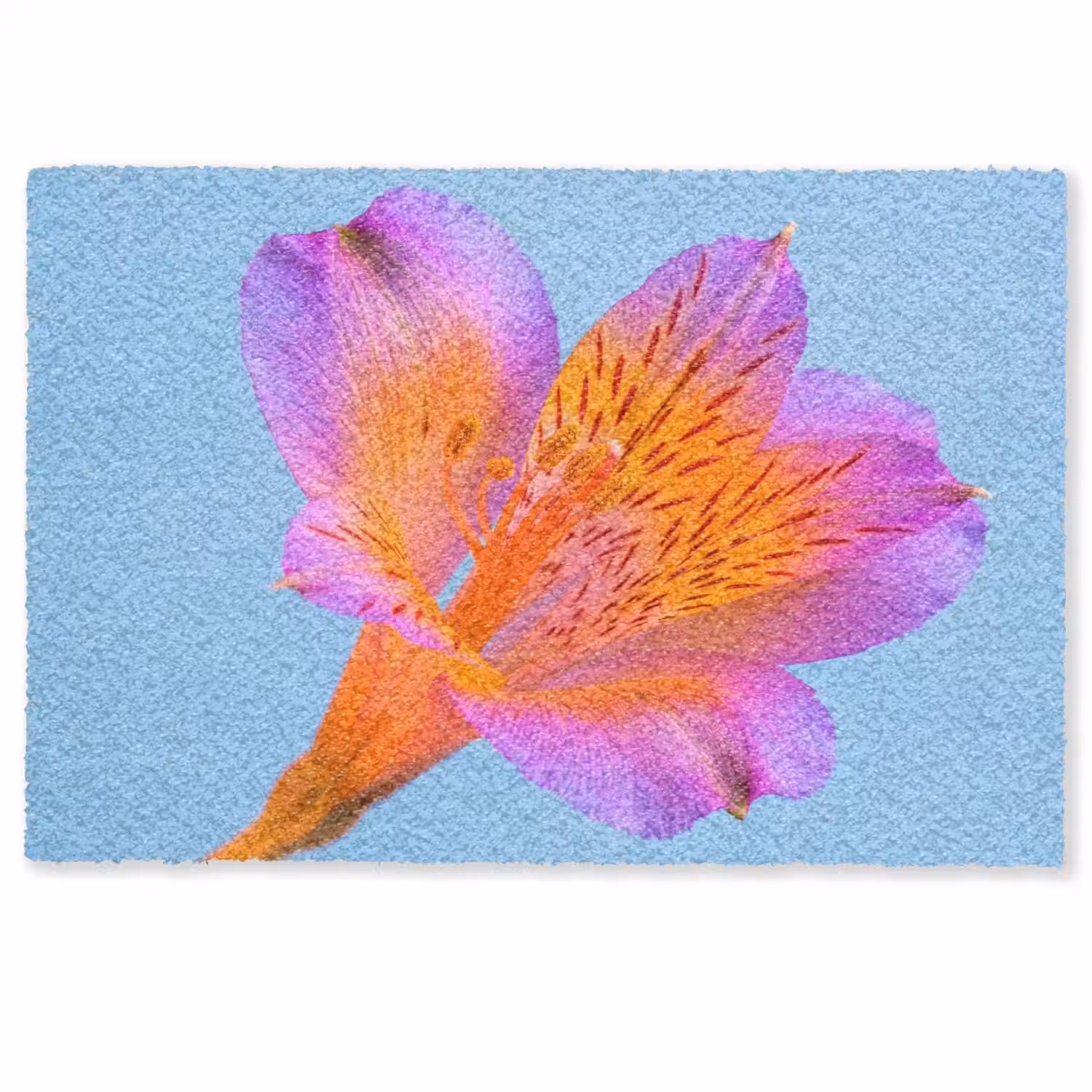 Bloem - Detail - Kleurrijk Deurmat klein -zkaufland3d