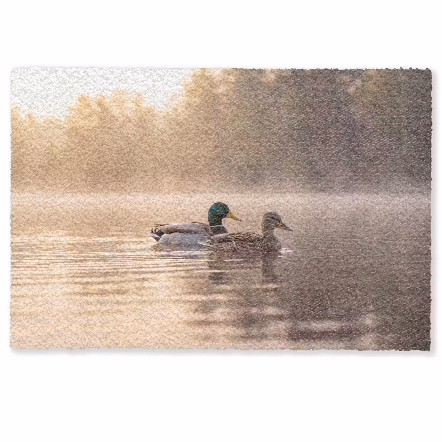 Eenden - Water - Mist - Natuur Deurmat klein -zkaufland3d