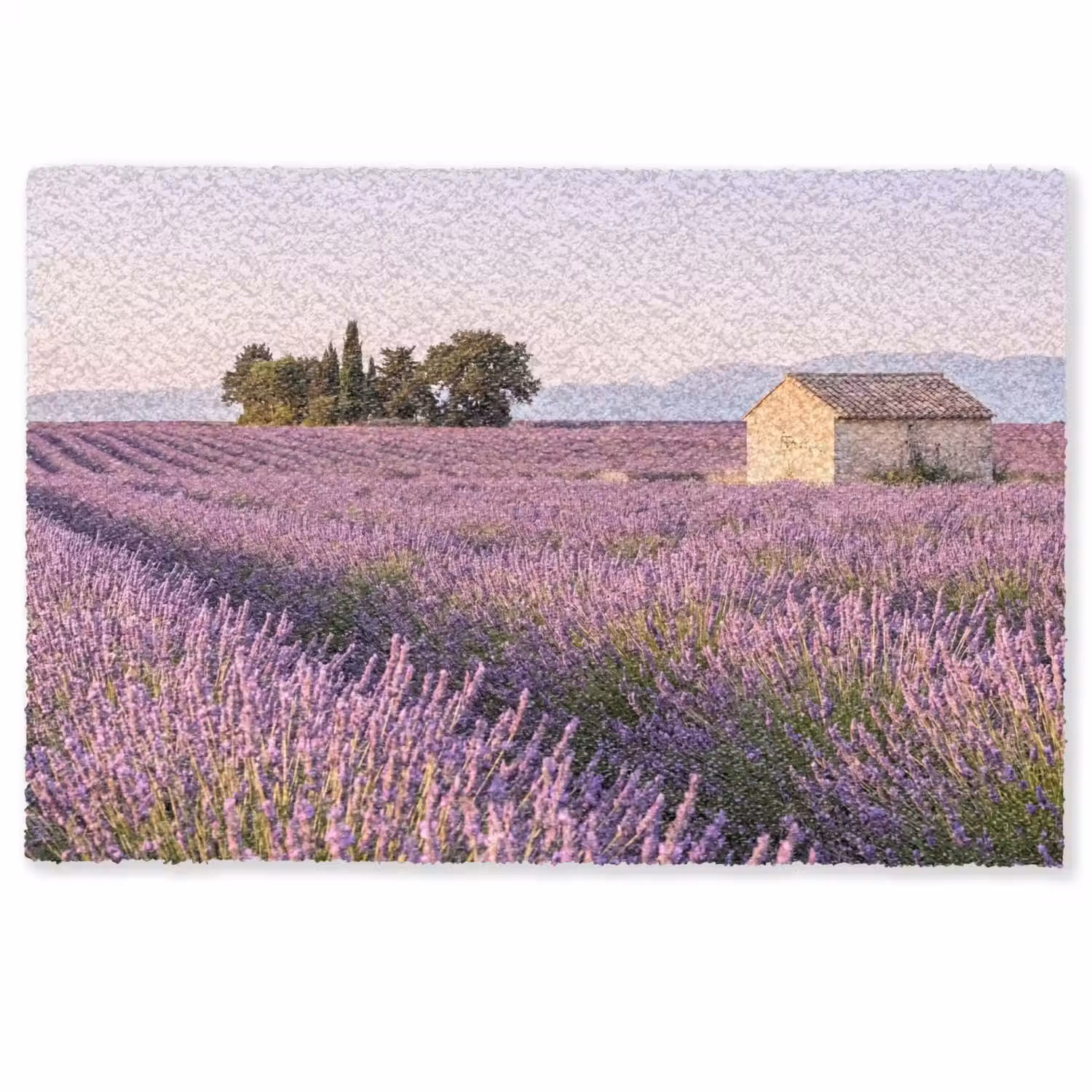 Lavendel - Landschap - Sereen - Paars Deurmat klein -zkaufland3d