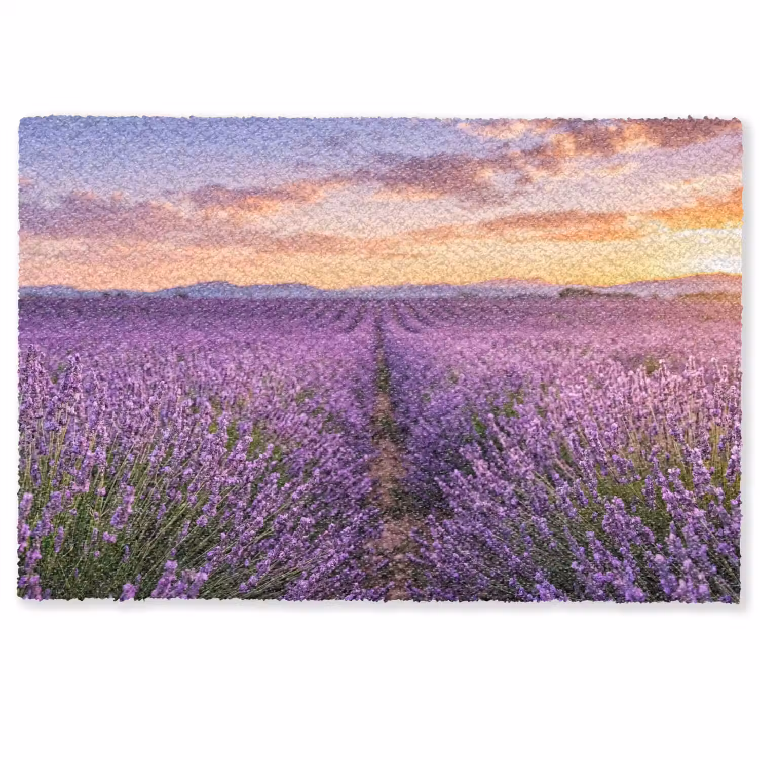 Lavendel - Veld - Natuur - Paars Deurmat klein -zkaufland3d