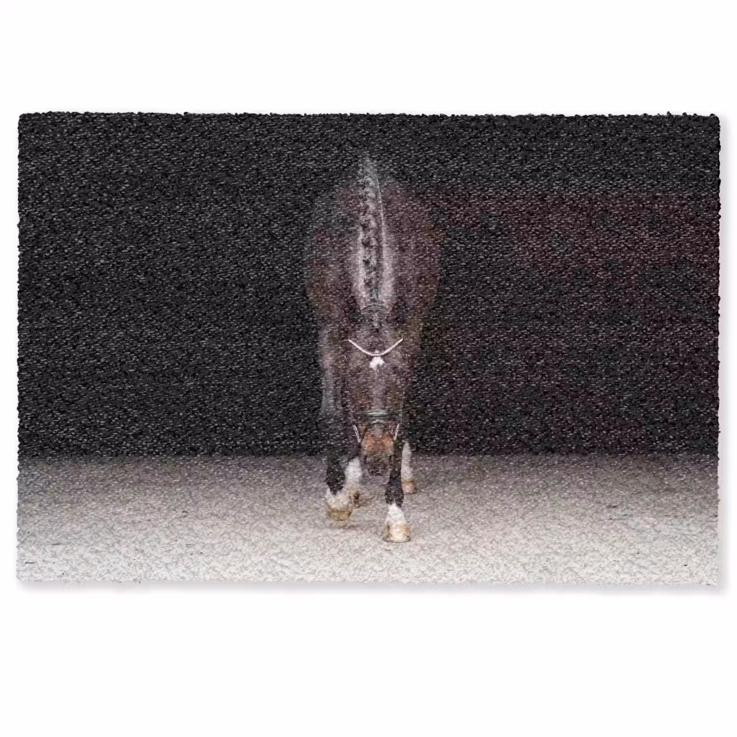 Paard - Modern - Portret Deurmat klein -zkaufland3d