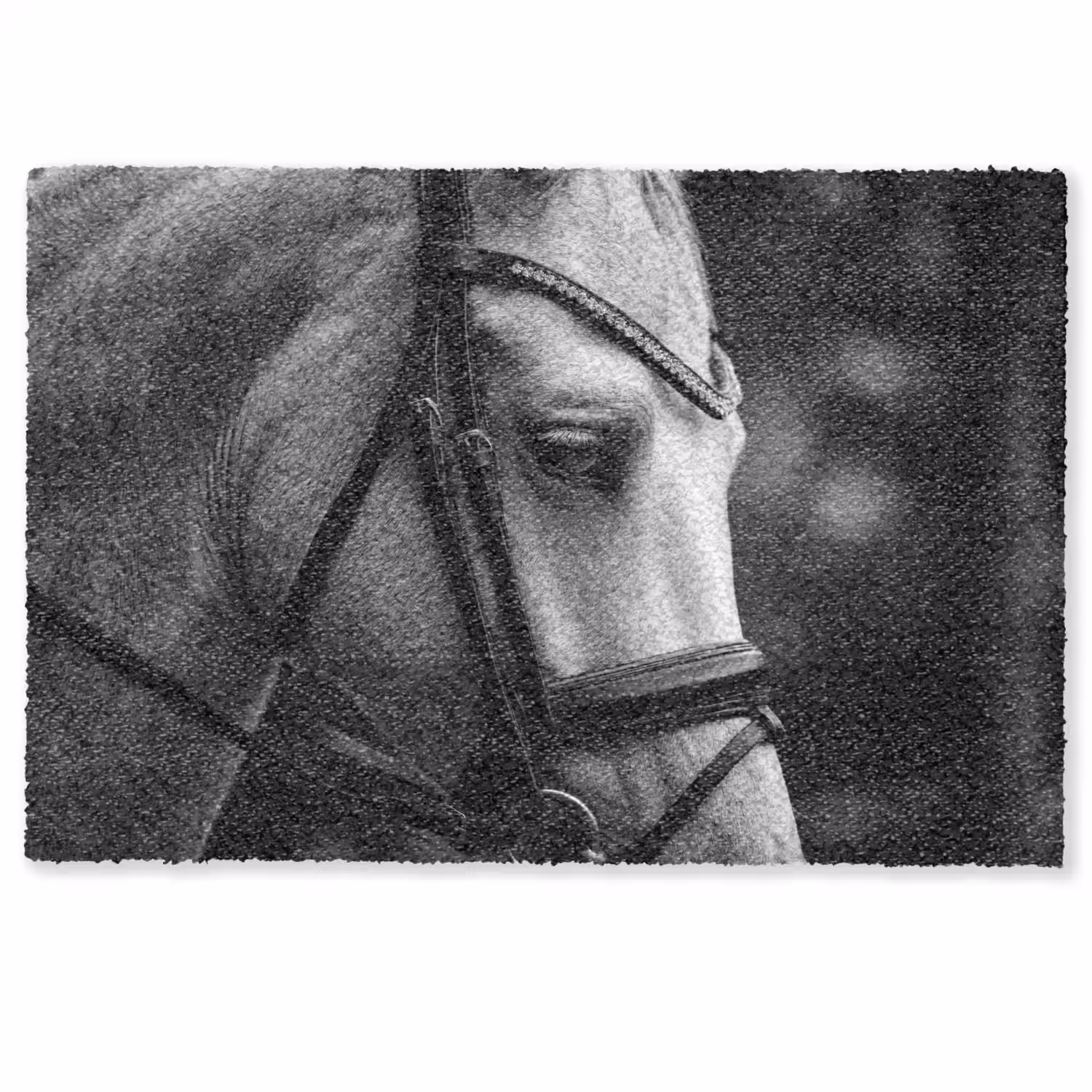 Paard - Schimmel - Portret Deurmat klein -zkaufland3d