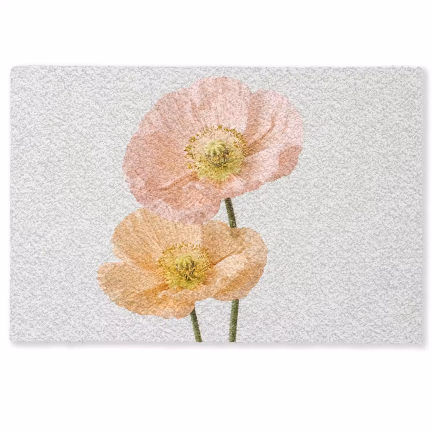 Papavers - Botanisch - Roze Deurmat klein -zkaufland3d