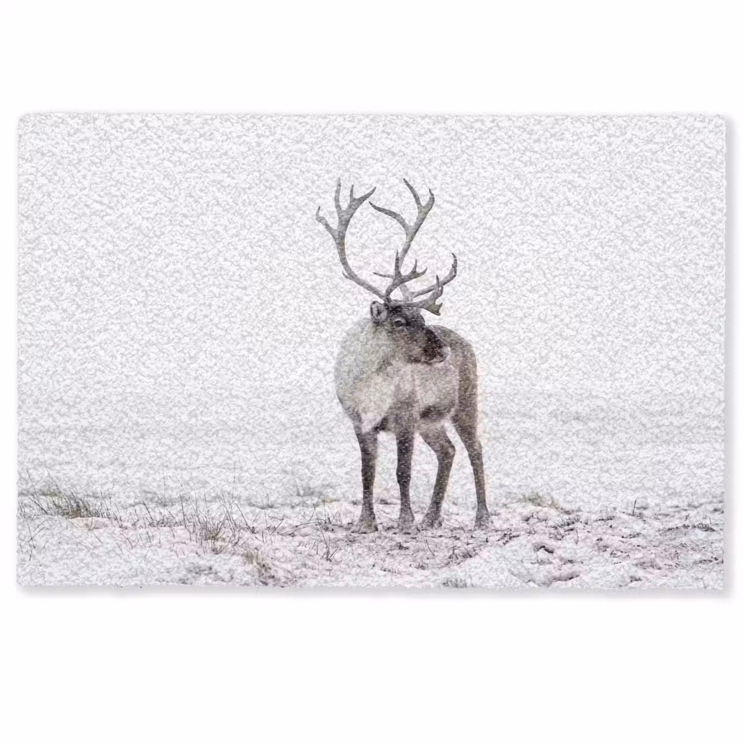 Rendier - Gewei - Sneeuw - Winter Deurmat klein -zkaufland3d