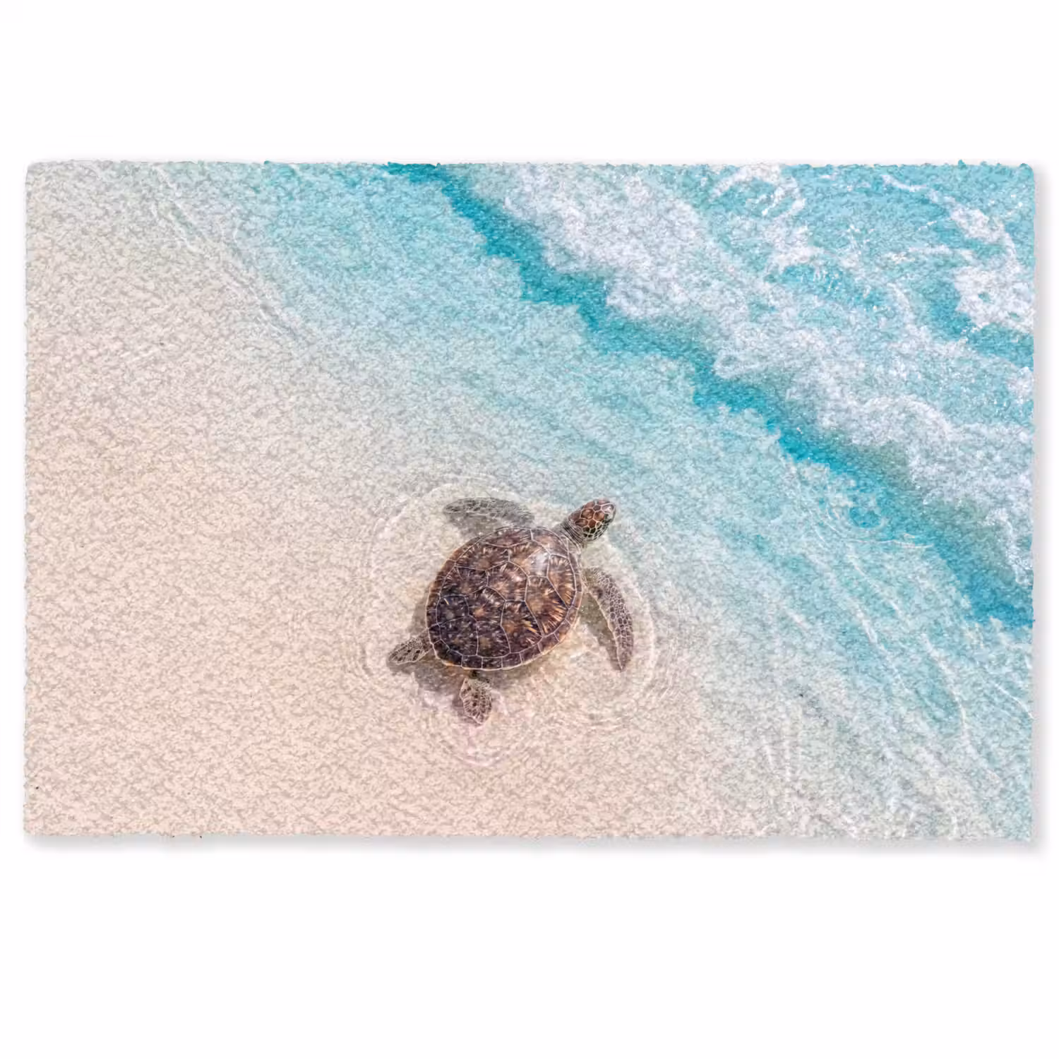 Schildpad - Helder water - Strand - Dieren - Natuur Deurmat klein -zkaufland3d