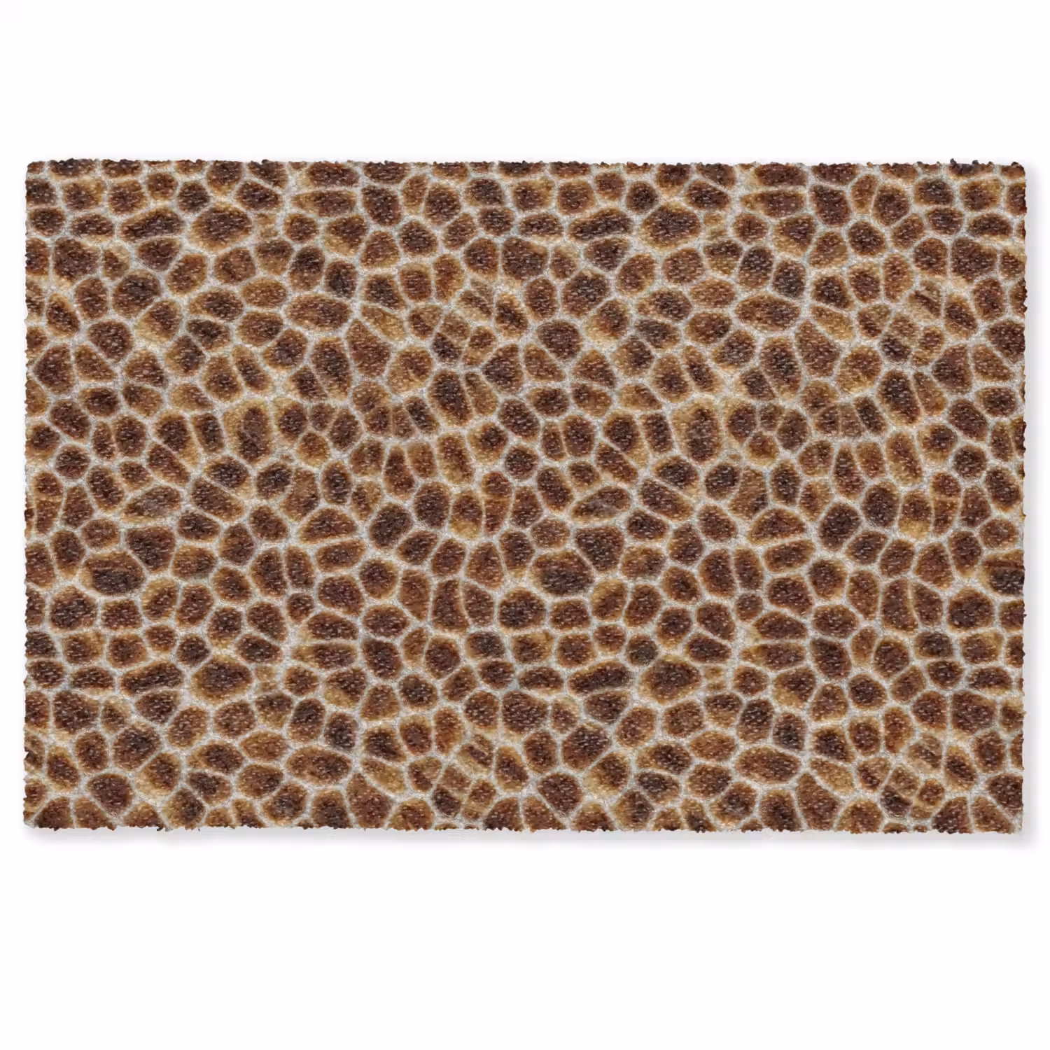Schildpad - Patroon - Bruin Deurmat klein 898 -zkaufland3d