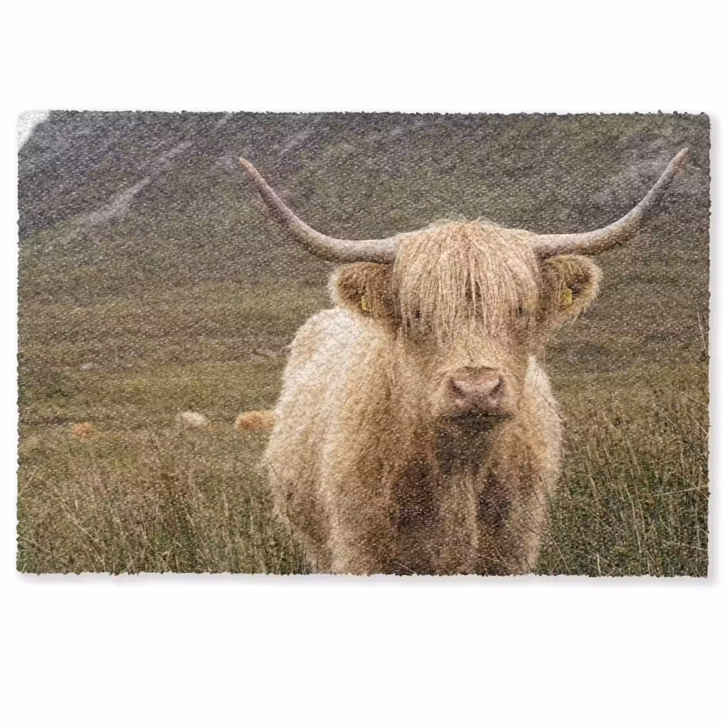 Schotse hooglander - Bergen - Grasveld Deurmat klein -zkaufland3d