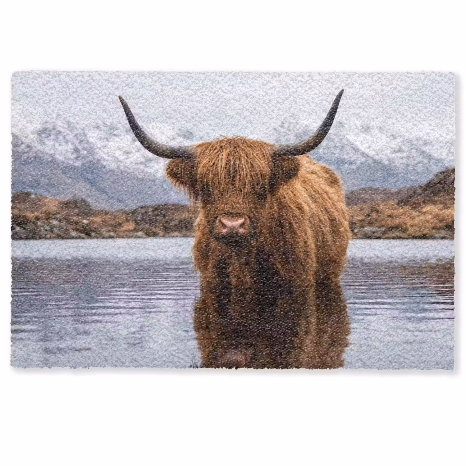 Schotse hooglander - Bruin - Water Deurmat klein -zkaufland3d