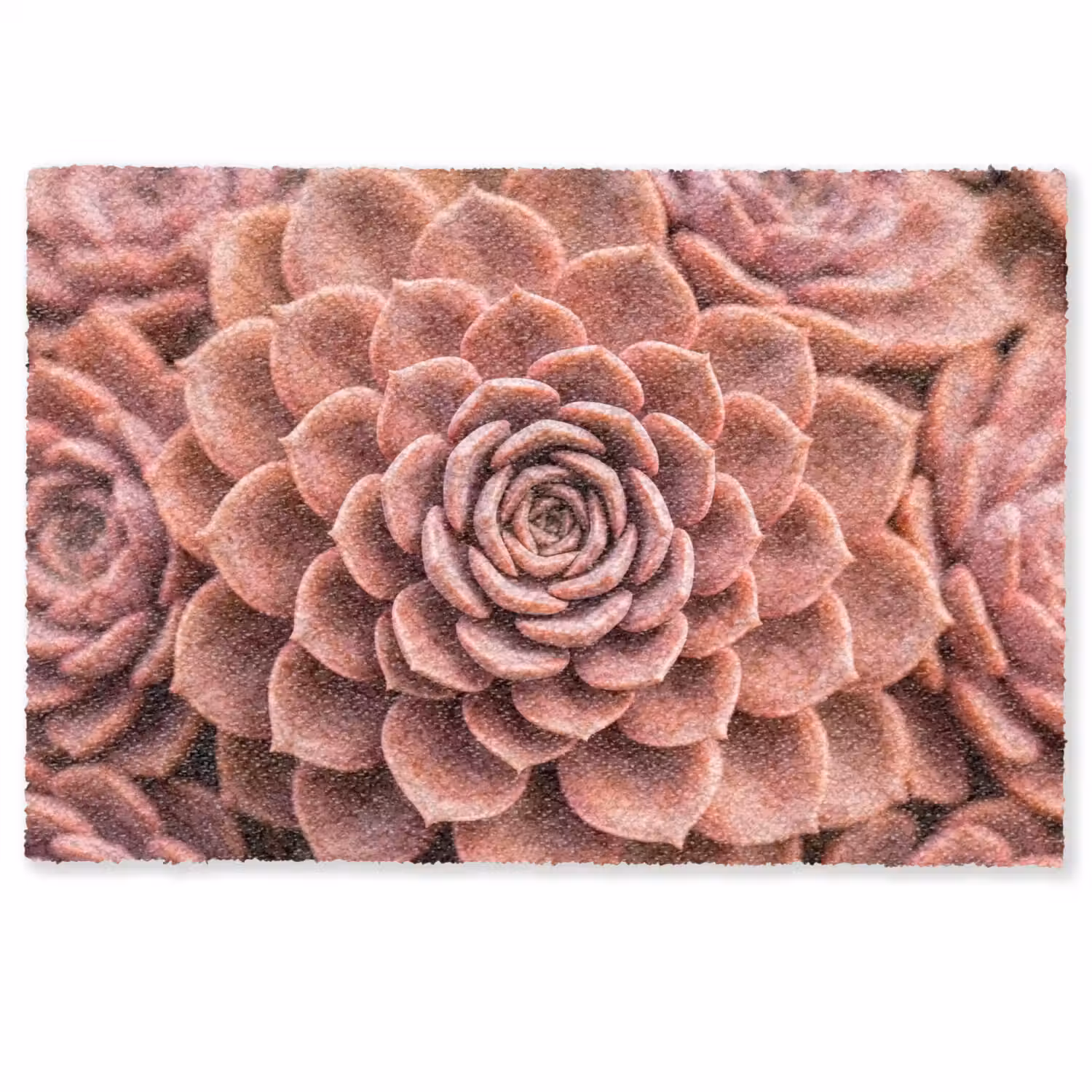 Vetplant - Organisch - Roze Deurmat klein -zkaufland3d