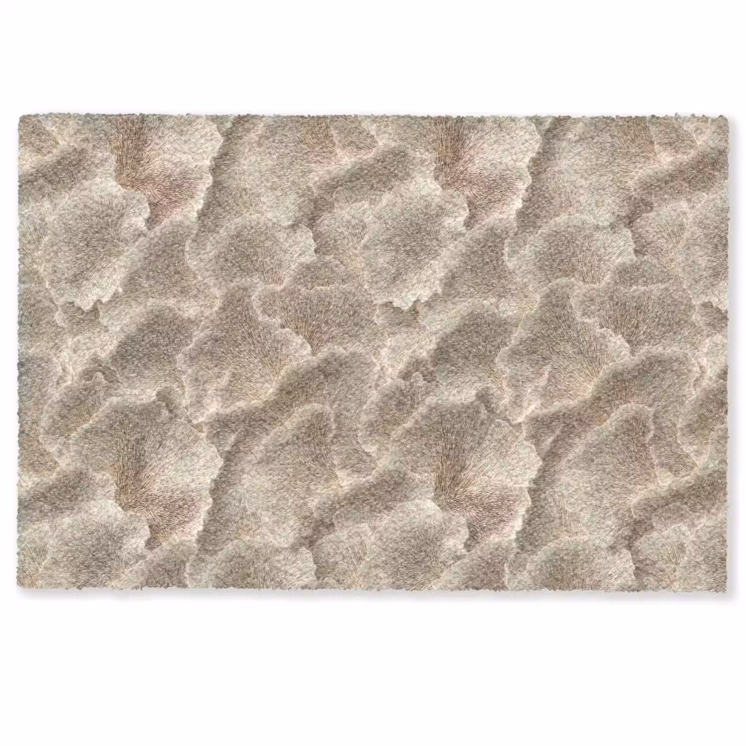 Waaierstructuren - Beige - Vezeltextuur Deurmat klein 898 -zkaufland3d