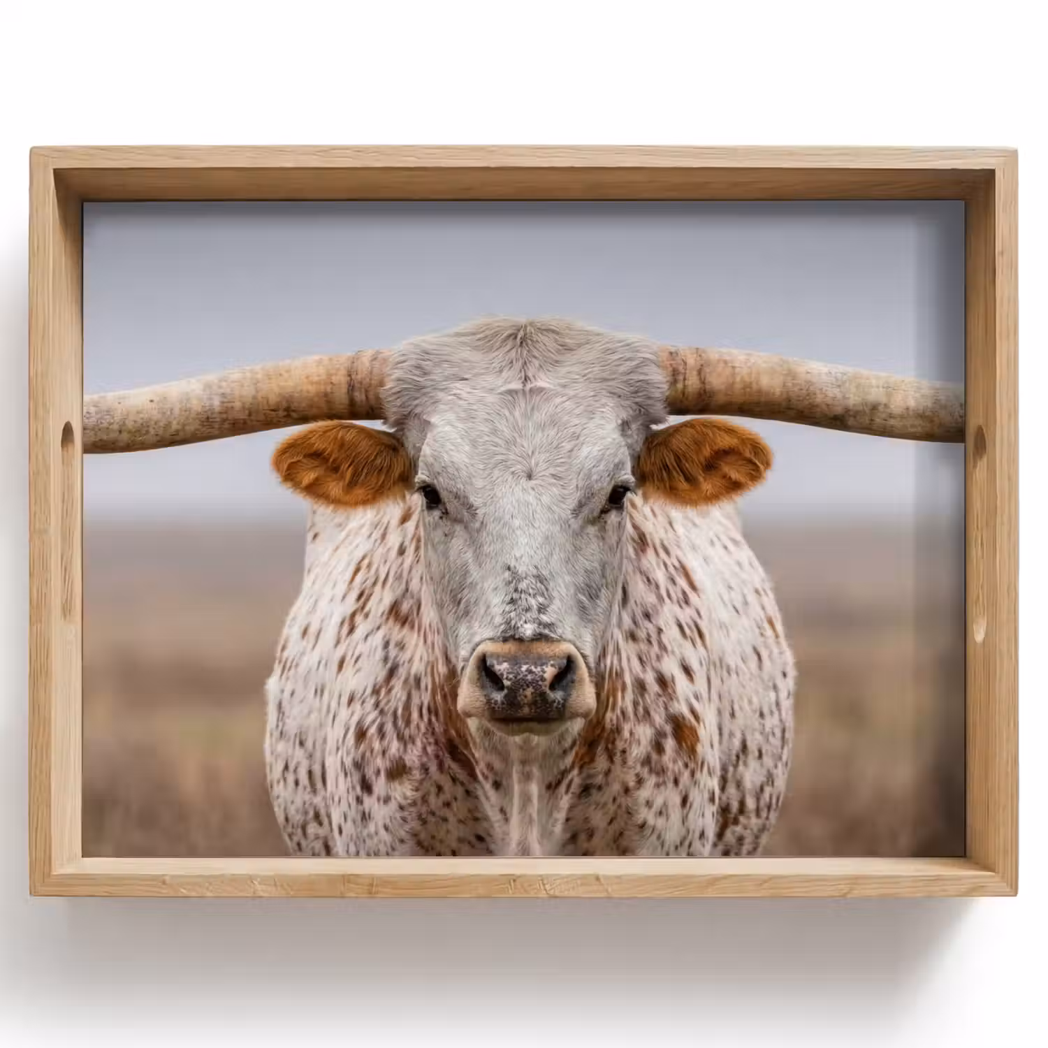 Longhorn - Grasveld - Dier Dienblad Rechthoek middel -z3d_shopping