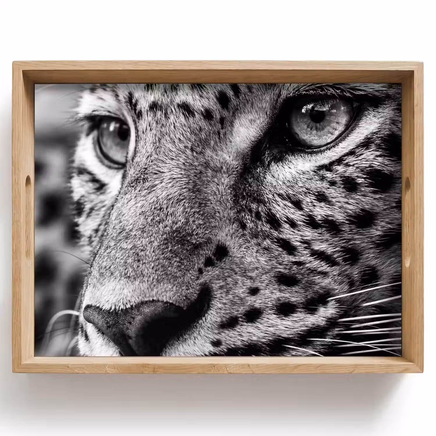 Luipaard - Zwart - Wit - Oog Dienblad Rechthoek middel -z3d_shopping