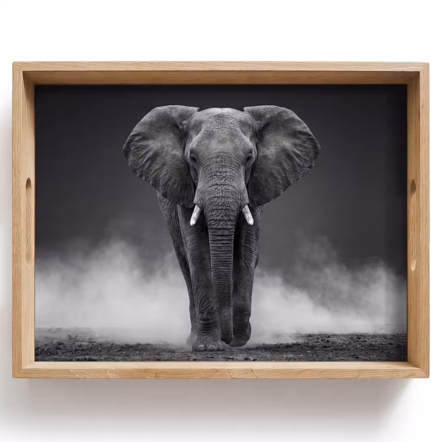 Olifant - Zwart - Wit - Rook Dienblad Rechthoek middel -z3d_shopping