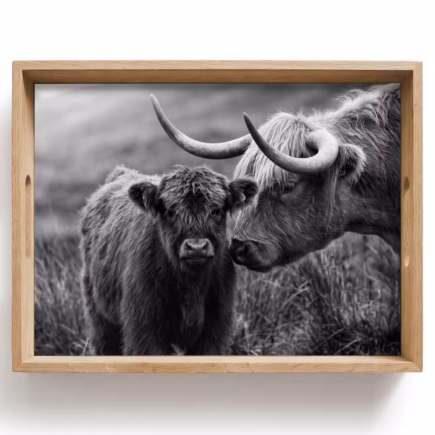 Schotse hooglander - Kalf - Zwart - Wit Dienblad Rechthoek middel -z3d_shopping