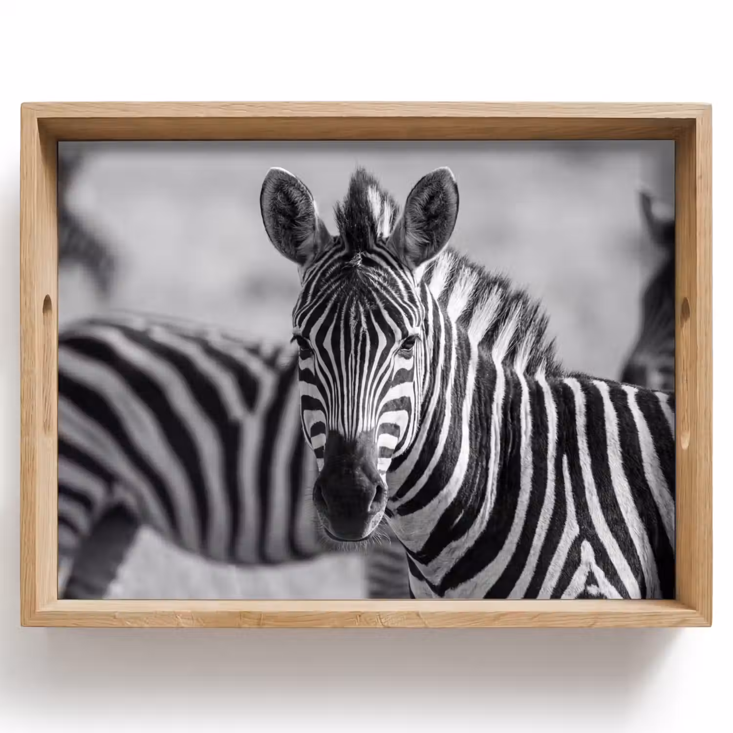 Zebra's - Zwart - Wit Dienblad Rechthoek middel -z3d_shopping