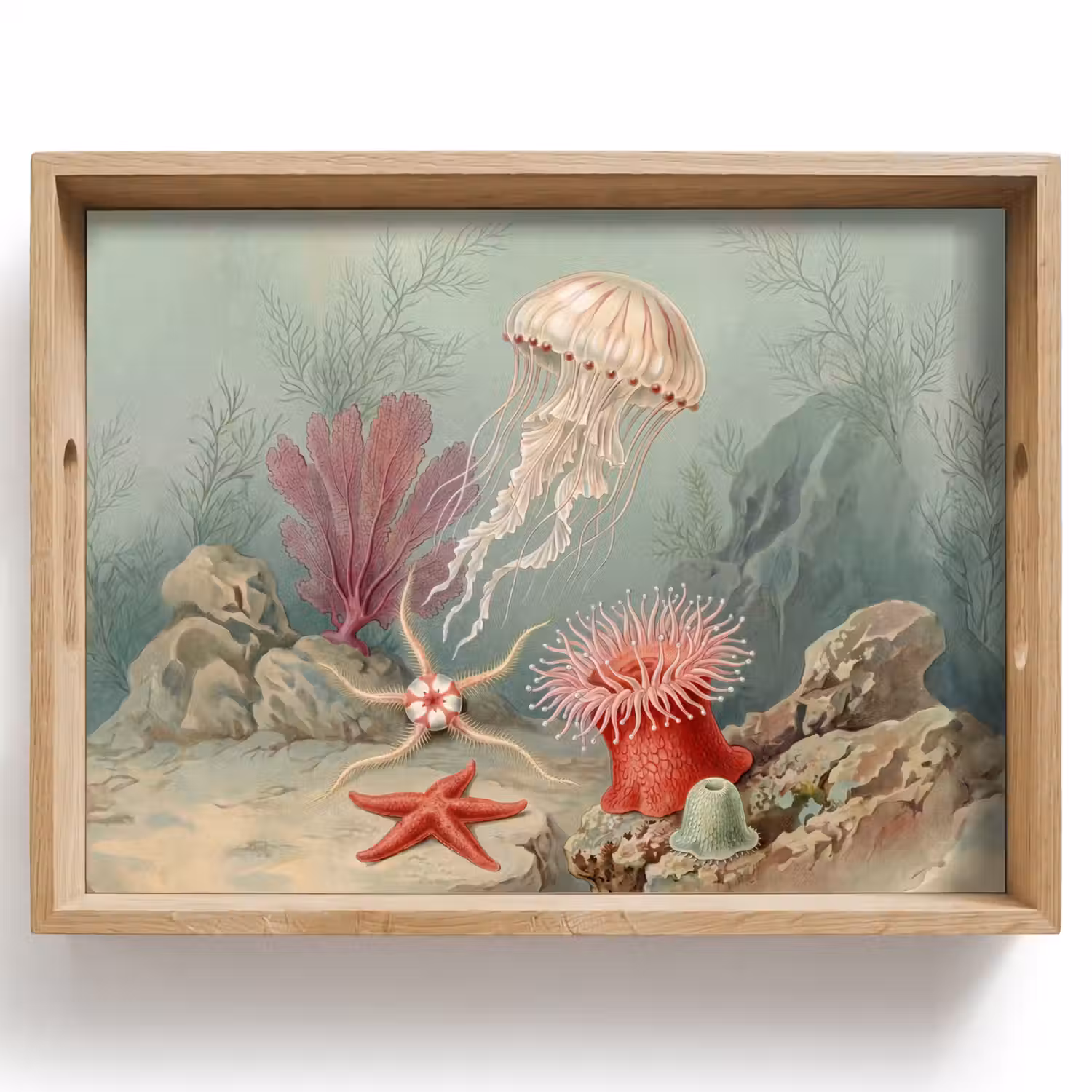 Zeeleven - Kwal - Onderwater - Illustratie - Beige Dienblad Rechthoek middel -z3d_shopping