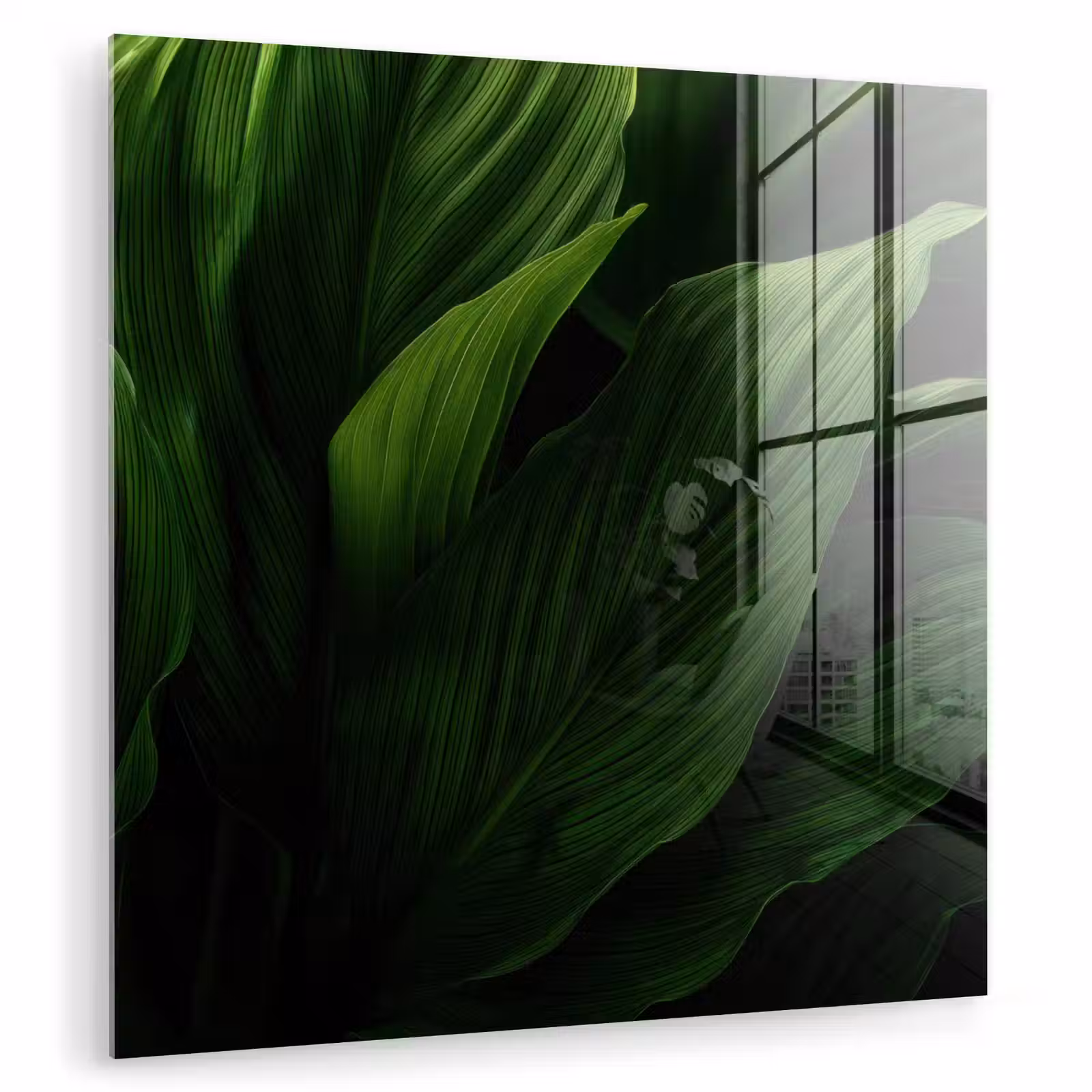 Bladeren - Schaduw - Groen - Textuur plexiglas 5mm klein -zzzproduct_nieuw