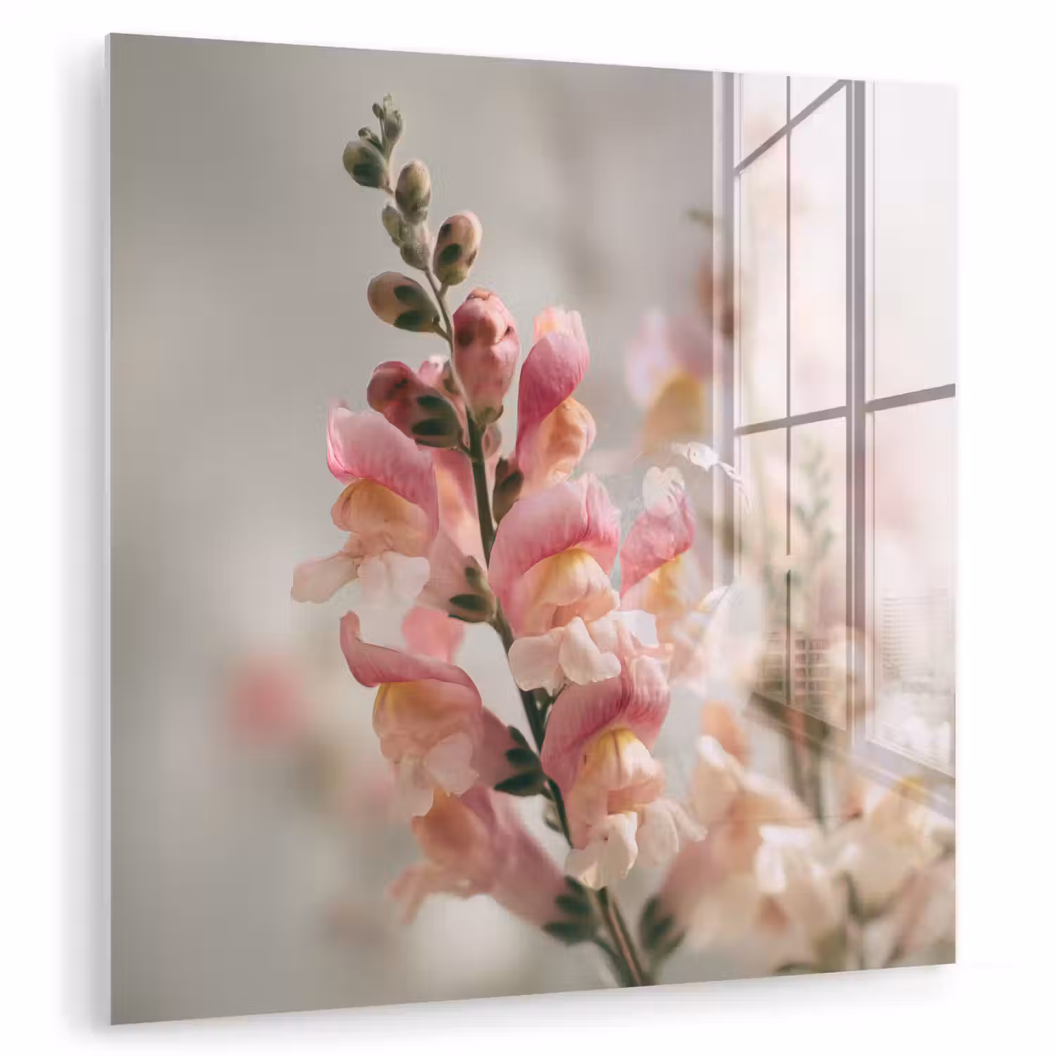 Bloem - Leeuwenbek - Roze - Stengel plexiglas 5mm klein -zzzproduct_nieuw