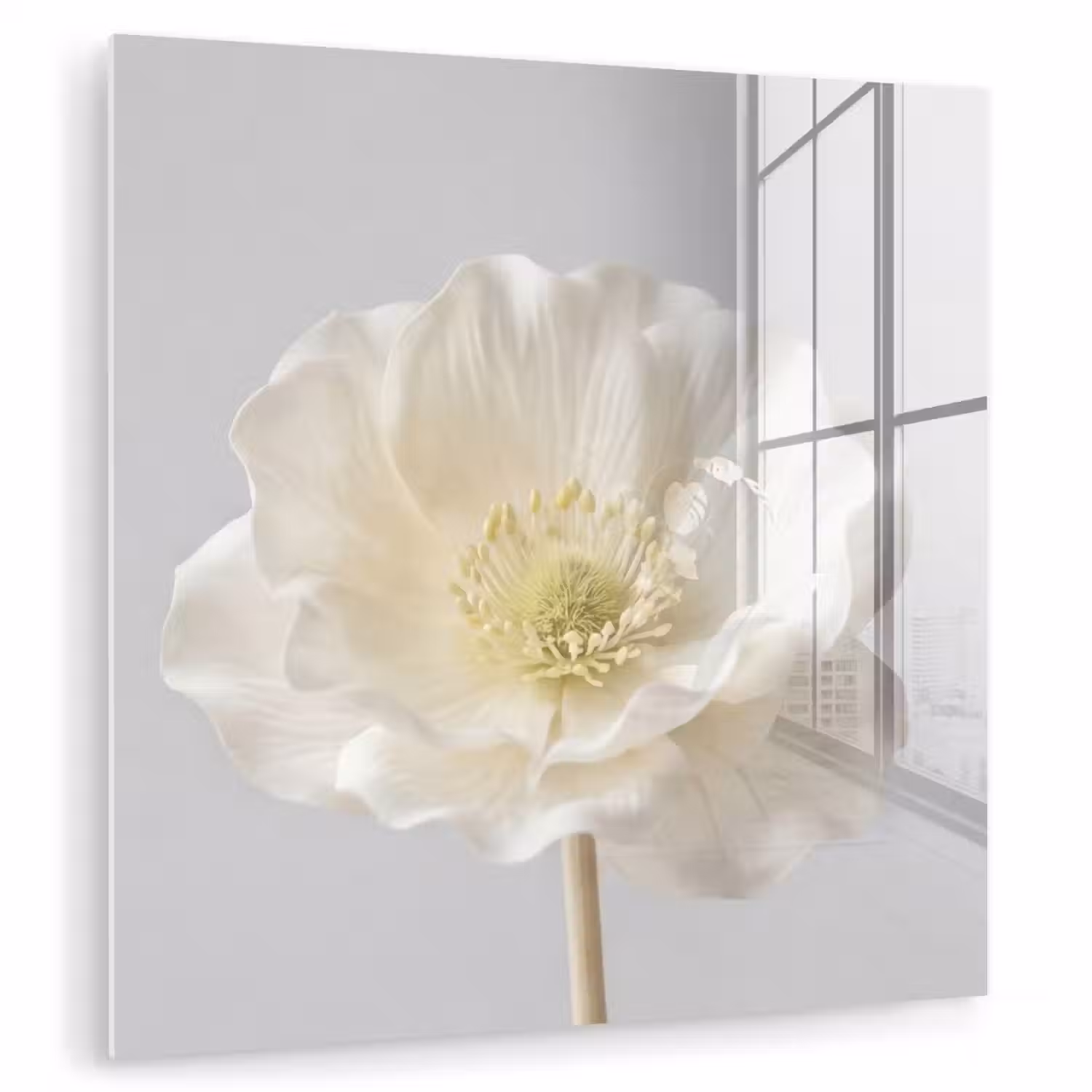 Bloem - Minimalistisch -Wit plexiglas 5mm klein -zzzproduct_nieuw