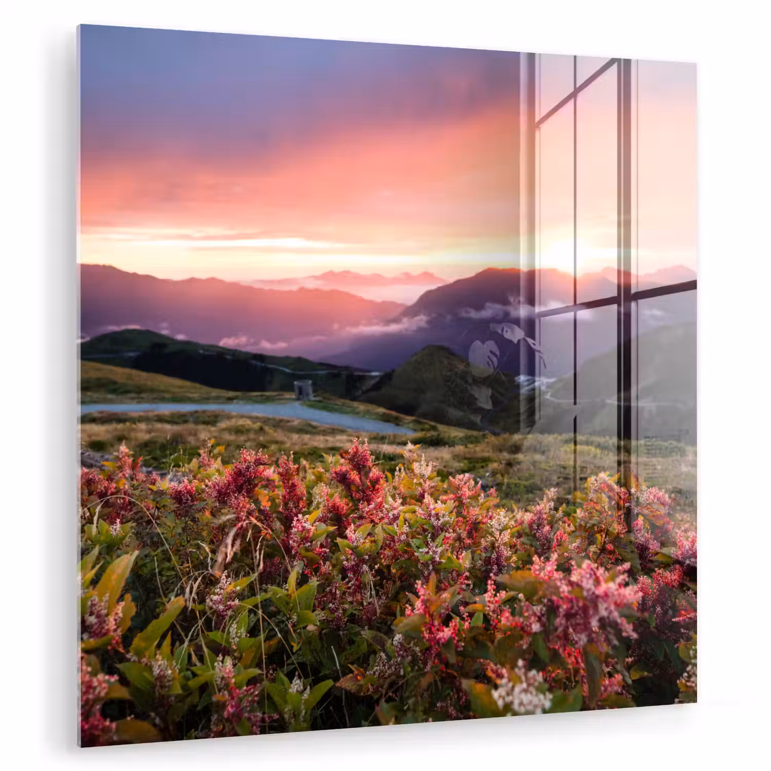 Bloemen - Bergen - Landschap - Nacht - Lucht - Roze plexiglas 5mm klein -zzzproduct_nieuw