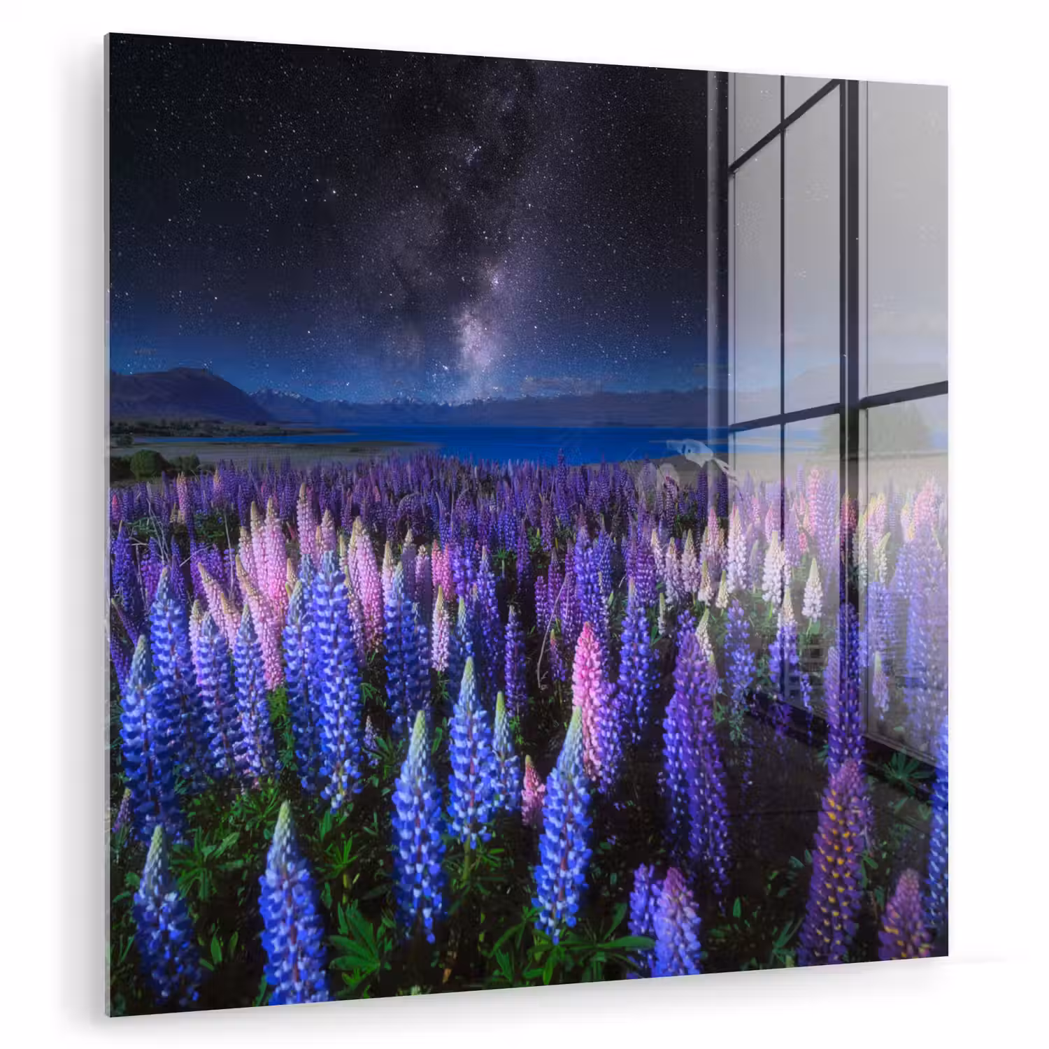 Bloemen - Nacht - Lupine - Sterrenhemel - Paars - Natuur plexiglas 5mm klein -zzzproduct_nieuw