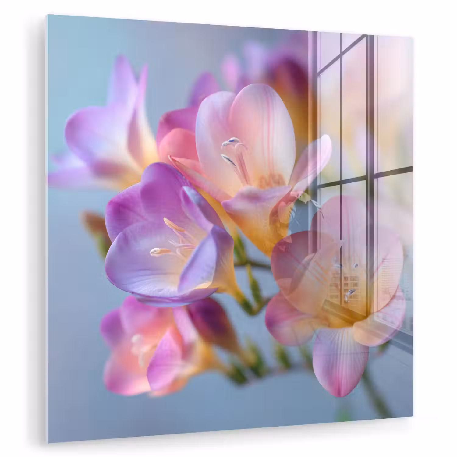Bloemen - Paars - Overloop - Meeldraden plexiglas 5mm klein -zzzproduct_nieuw