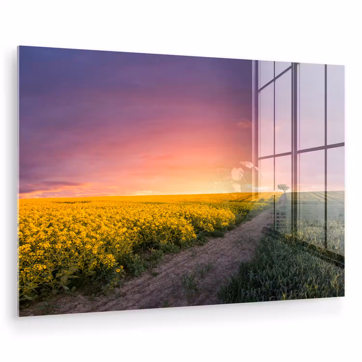Bloemen - Weg - Lucht - Geel - Paars - Zonsondergang - Natuur plexiglas 5mm klein -zzzproduct_nieuw