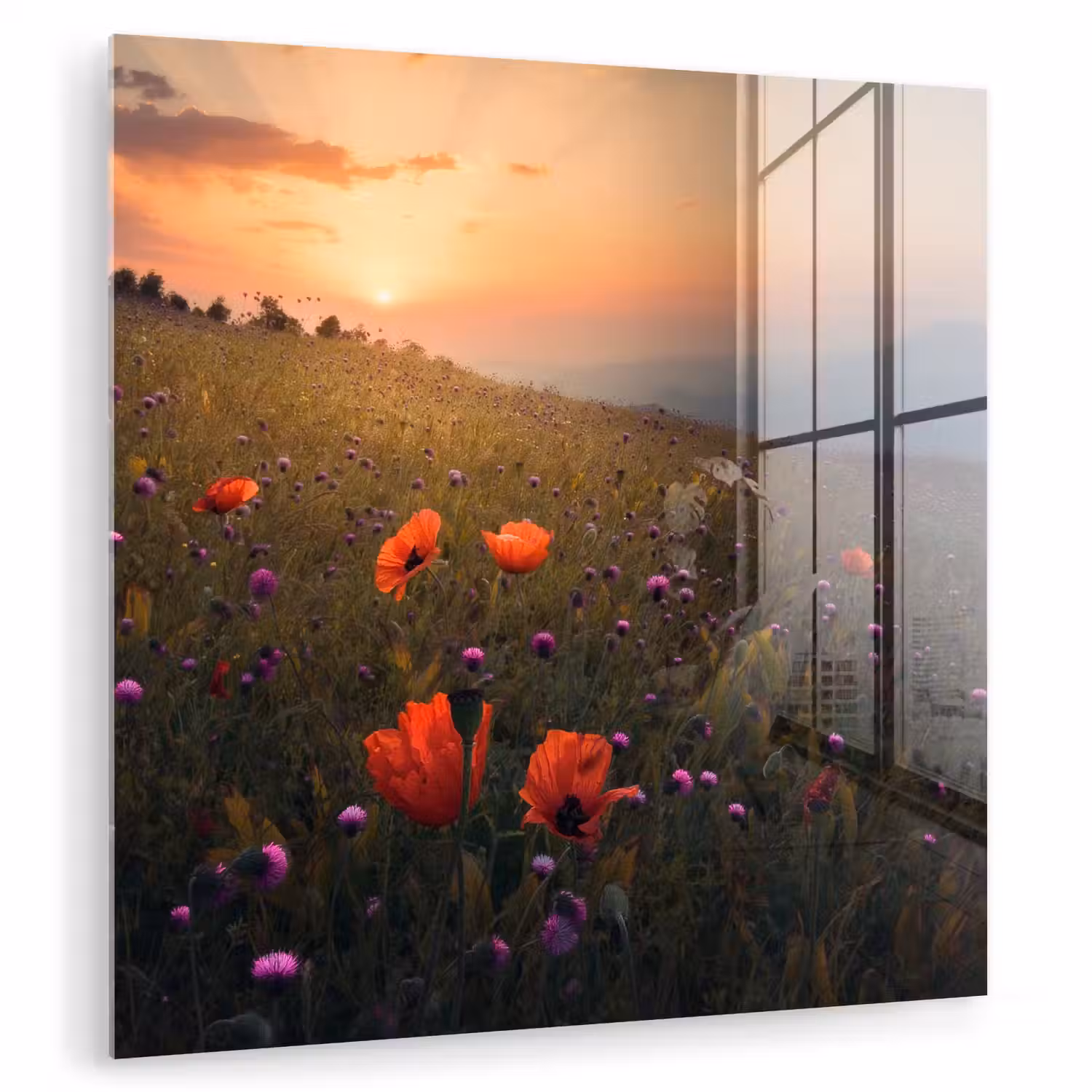 Bloemenveld - Gras - Bloemen - Planten - Zonsondergang - Oranje plexiglas 5mm klein -zzzproduct_nieuw