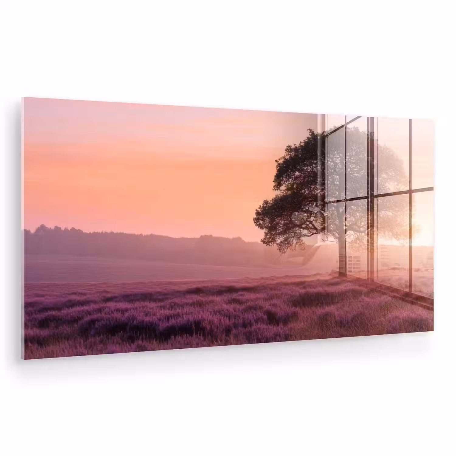 Boom - Heide - Zonsopgang plexiglas 5mm klein -zzzproduct_nieuw