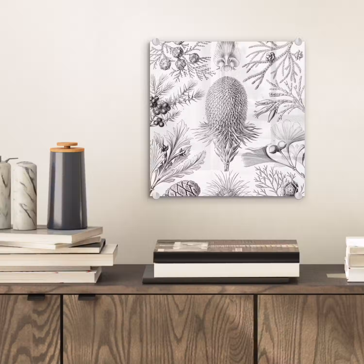 Coniferen - Ernst Haeckel - Kunst - Retro - Illustratie - Natuur plexiglas 5mm klein -sfeer1