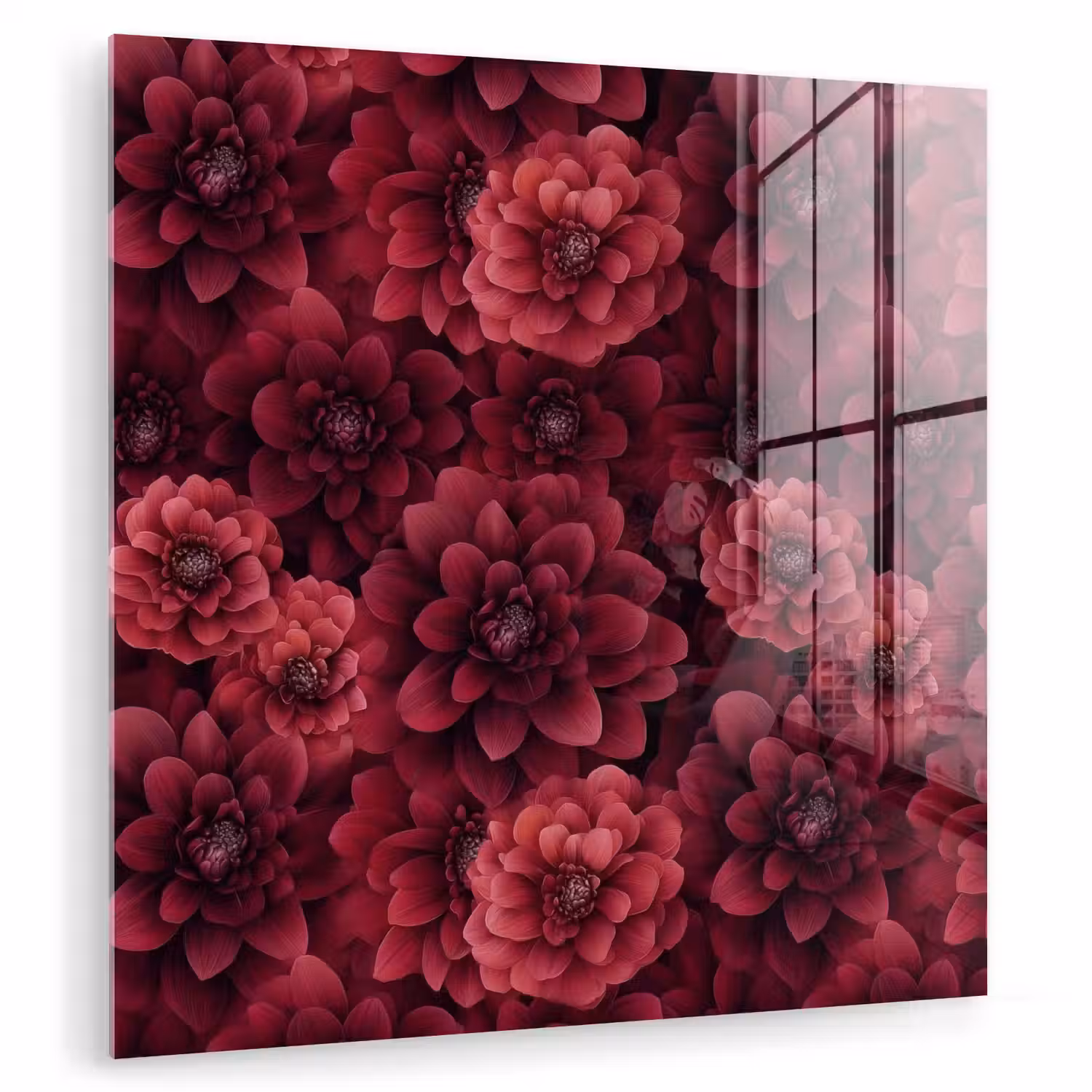 Dahlias - Bloemen - Rood plexiglas 5mm klein 11 -zzzproduct_nieuw