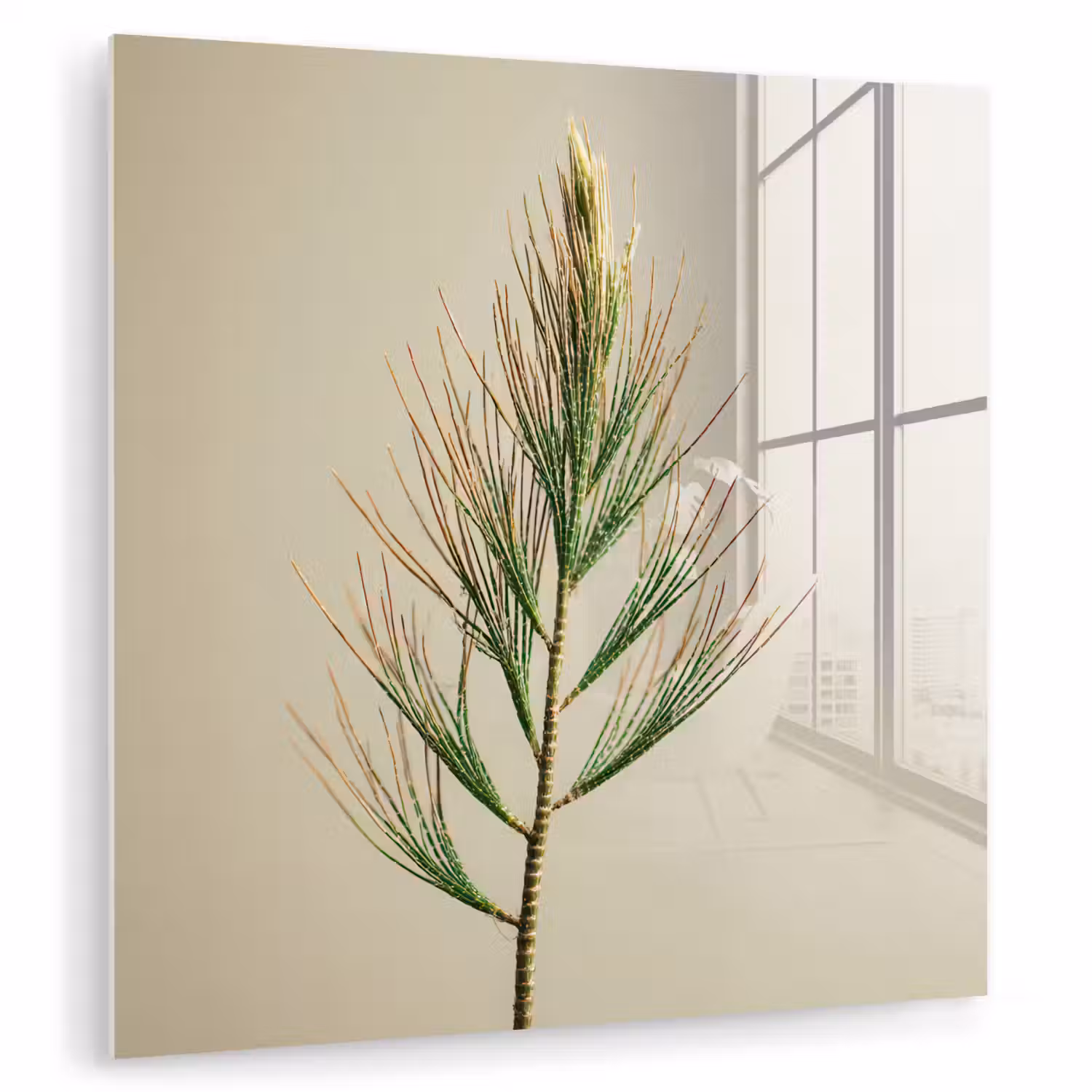 Dennentak - Naaldvormige bladeren - Lichtgroen plexiglas 5mm klein -zzzproduct_nieuw