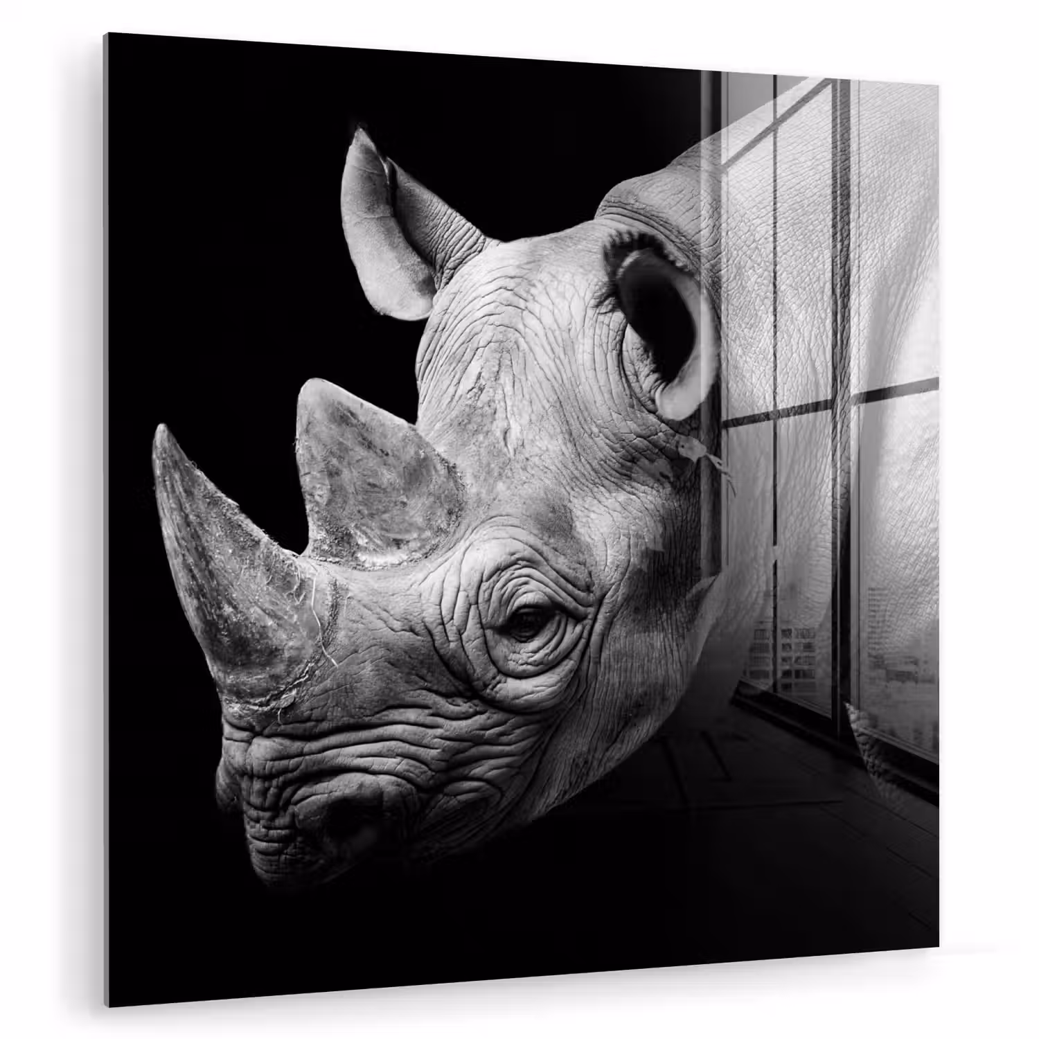 Dieren - Neushoorn - Zwart - Wit - Portret plexiglas 5mm klein -zzzproduct_nieuw