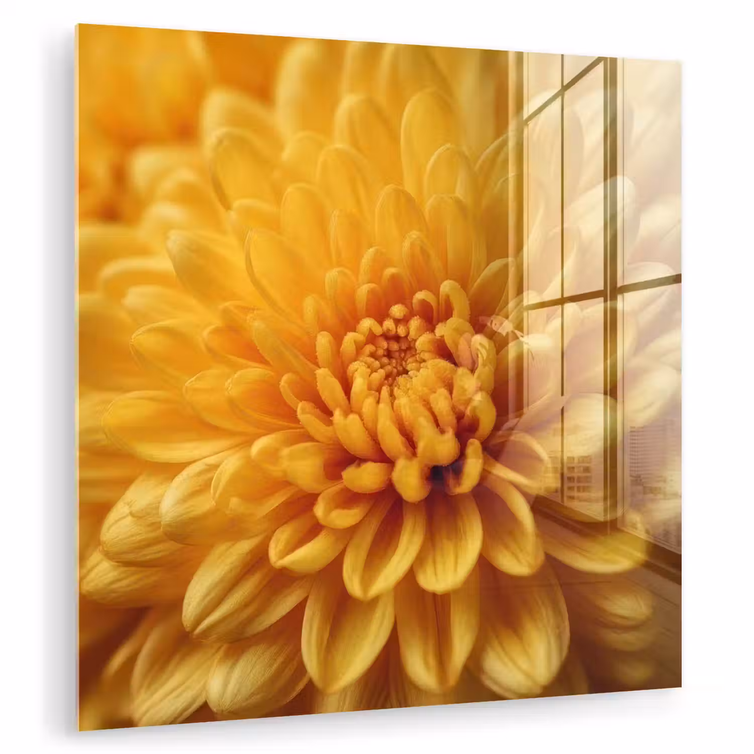 Geel - Chrysant - Zachtheid plexiglas 5mm klein -zzzproduct_nieuw