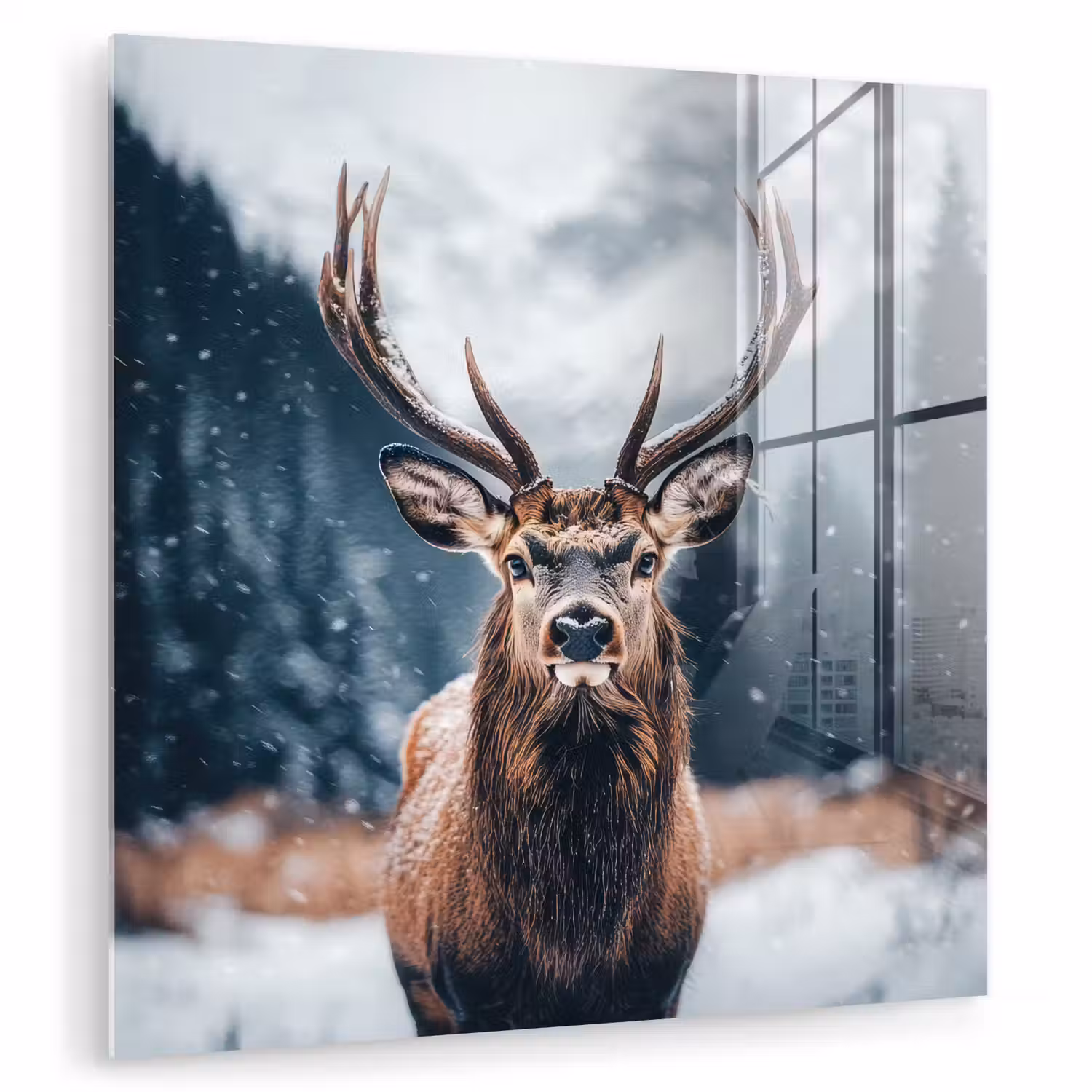 Hert - Dieren - Landschap - Winter - Sneeuw plexiglas 5mm klein -zzzproduct_nieuw