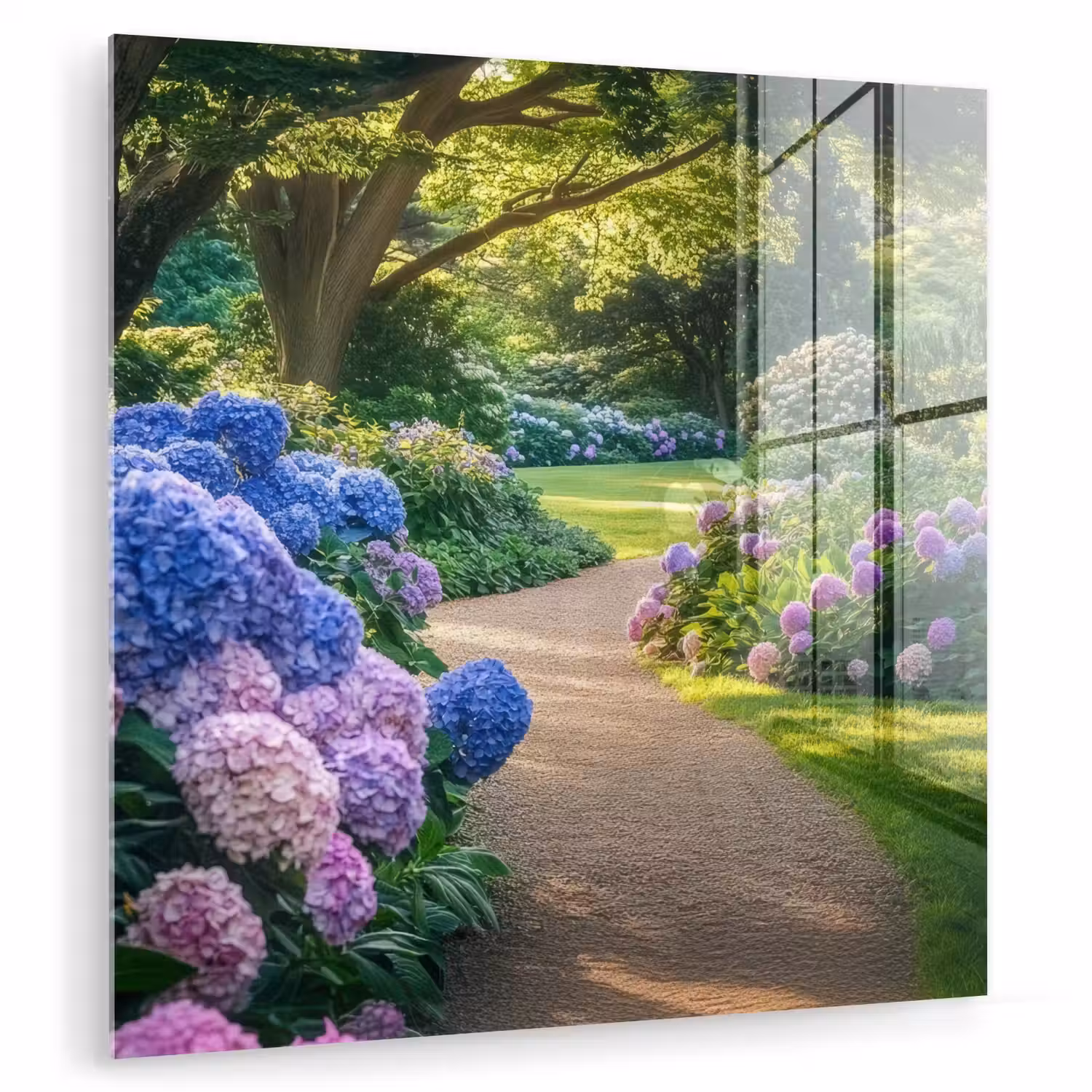 Hortensia- Park - Pad plexiglas 5mm klein -zzzproduct_nieuw