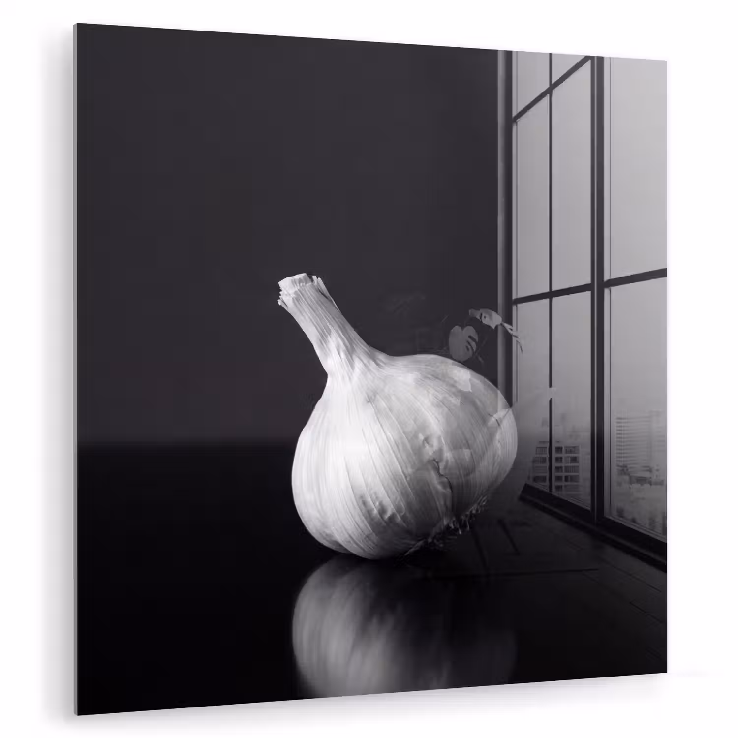 Knoflook - Zwart - Wit plexiglas 5mm klein -zzzproduct_nieuw
