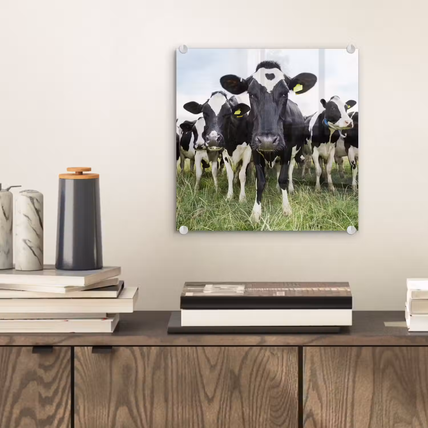 Koeien - Gras - Lente - Dieren - Weiland - Boerderij plexiglas 5mm klein -sfeer1