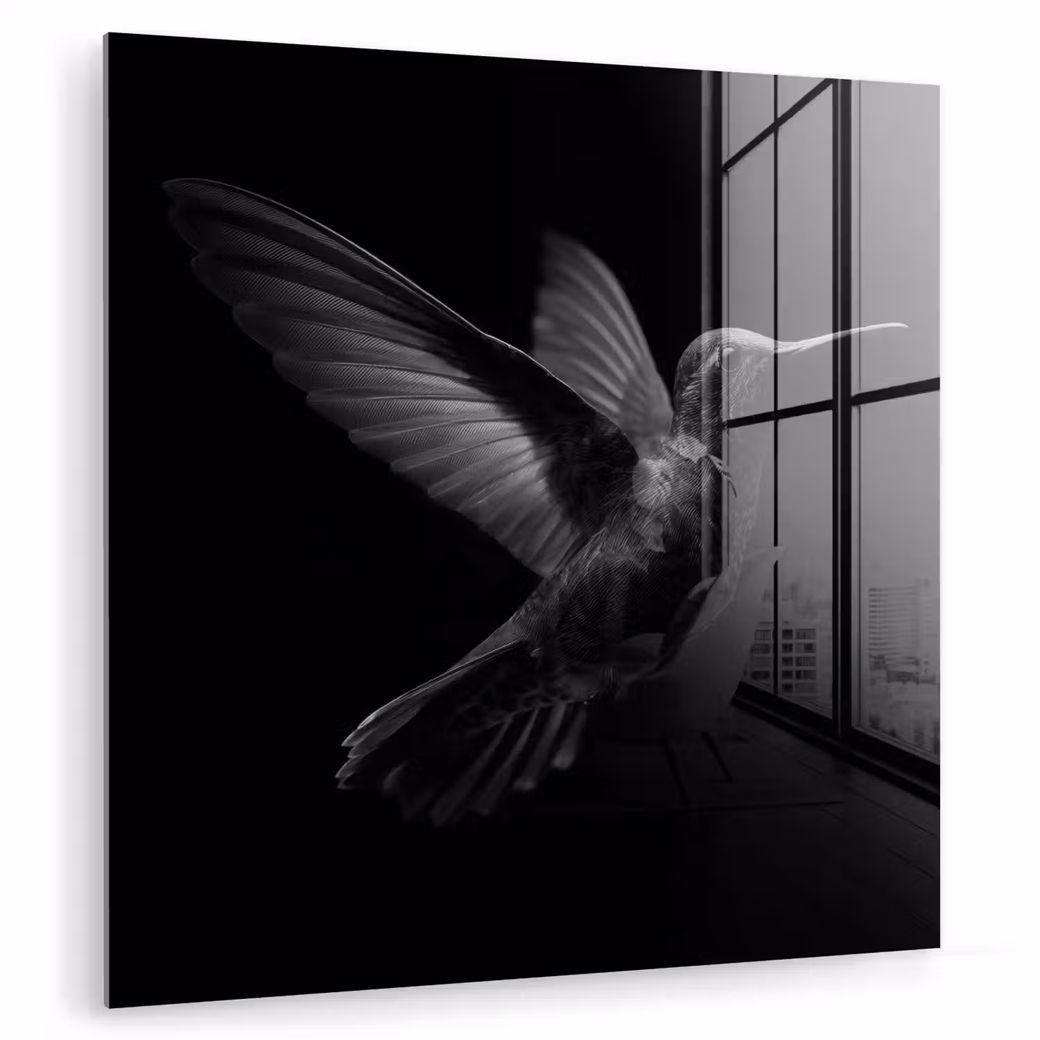 Kolibrie - Zwart - Dieren plexiglas 5mm klein -zzzproduct_nieuw
