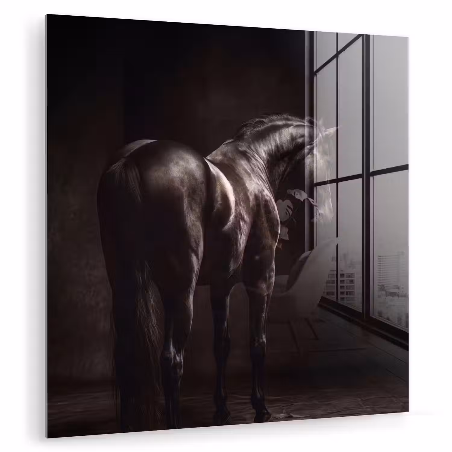 Krachtig - Paard - Donker plexiglas 5mm klein -zzzproduct_nieuw