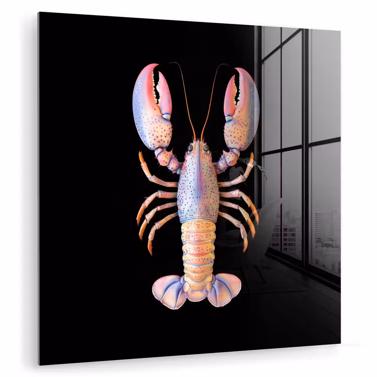 Kreeft - Roze - Zacht - Zwart plexiglas 5mm klein -zzzproduct_nieuw
