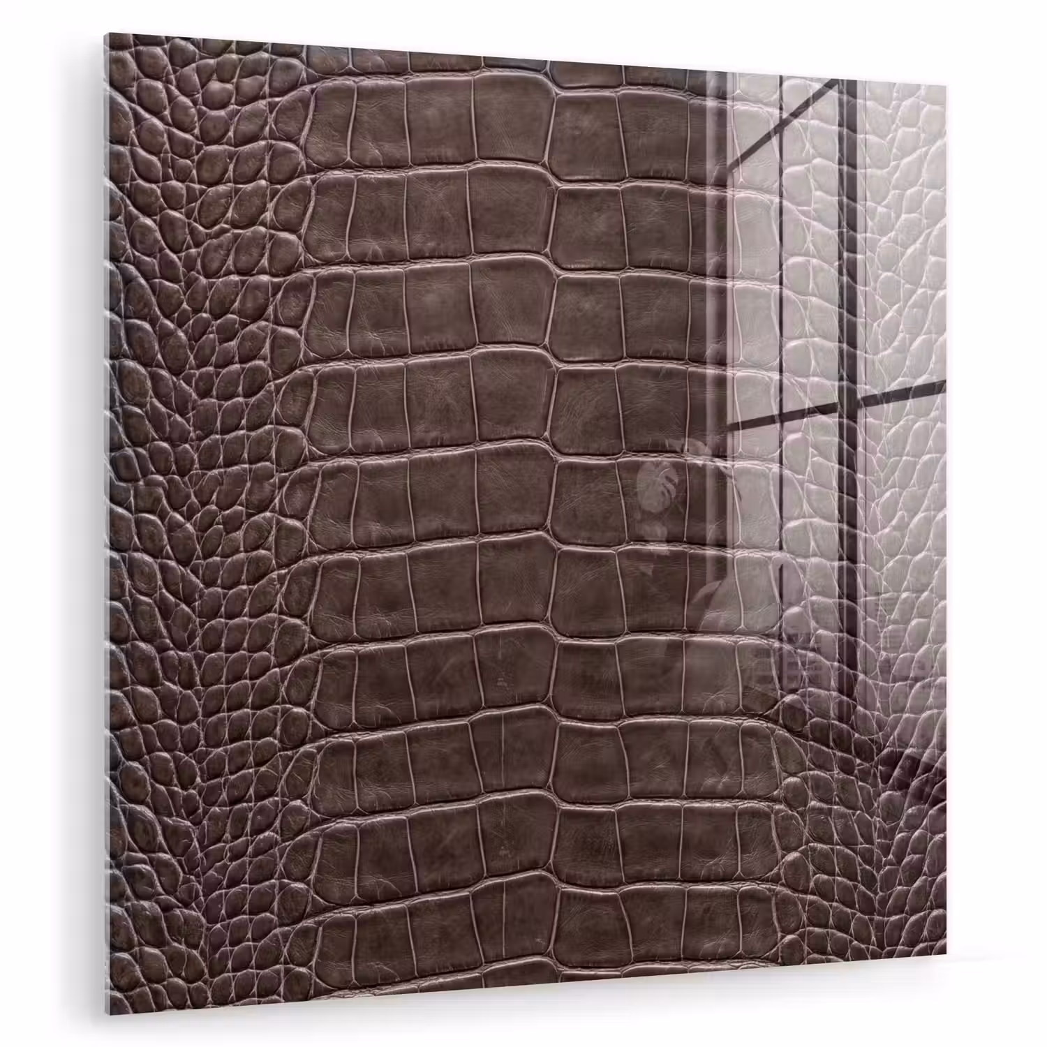 Leer - Krokodil - Mat plexiglas 5mm klein -zzzproduct_nieuw