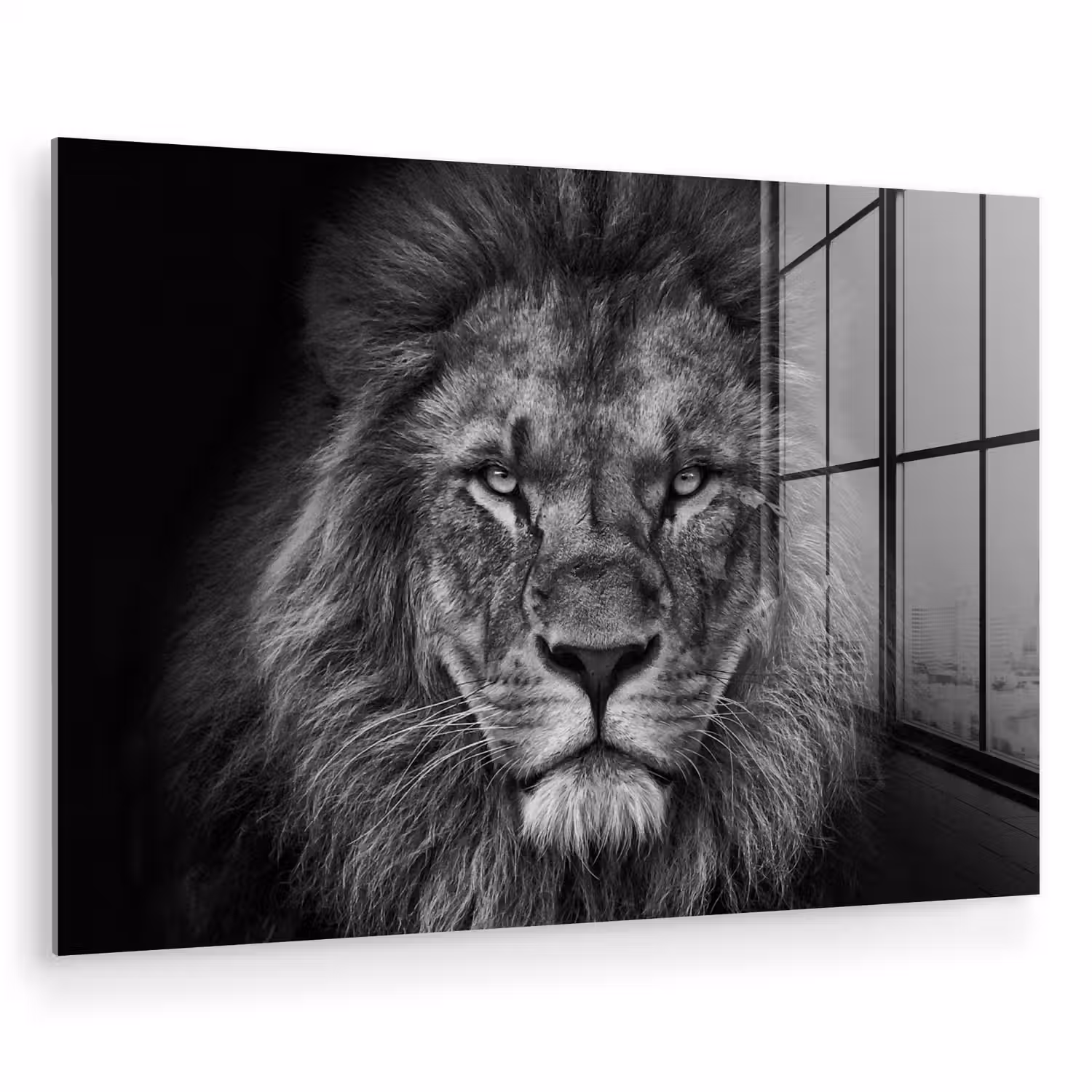 Leeuw - Dieren - Zwart - Wit plexiglas 5mm klein -zzzproduct_nieuw
