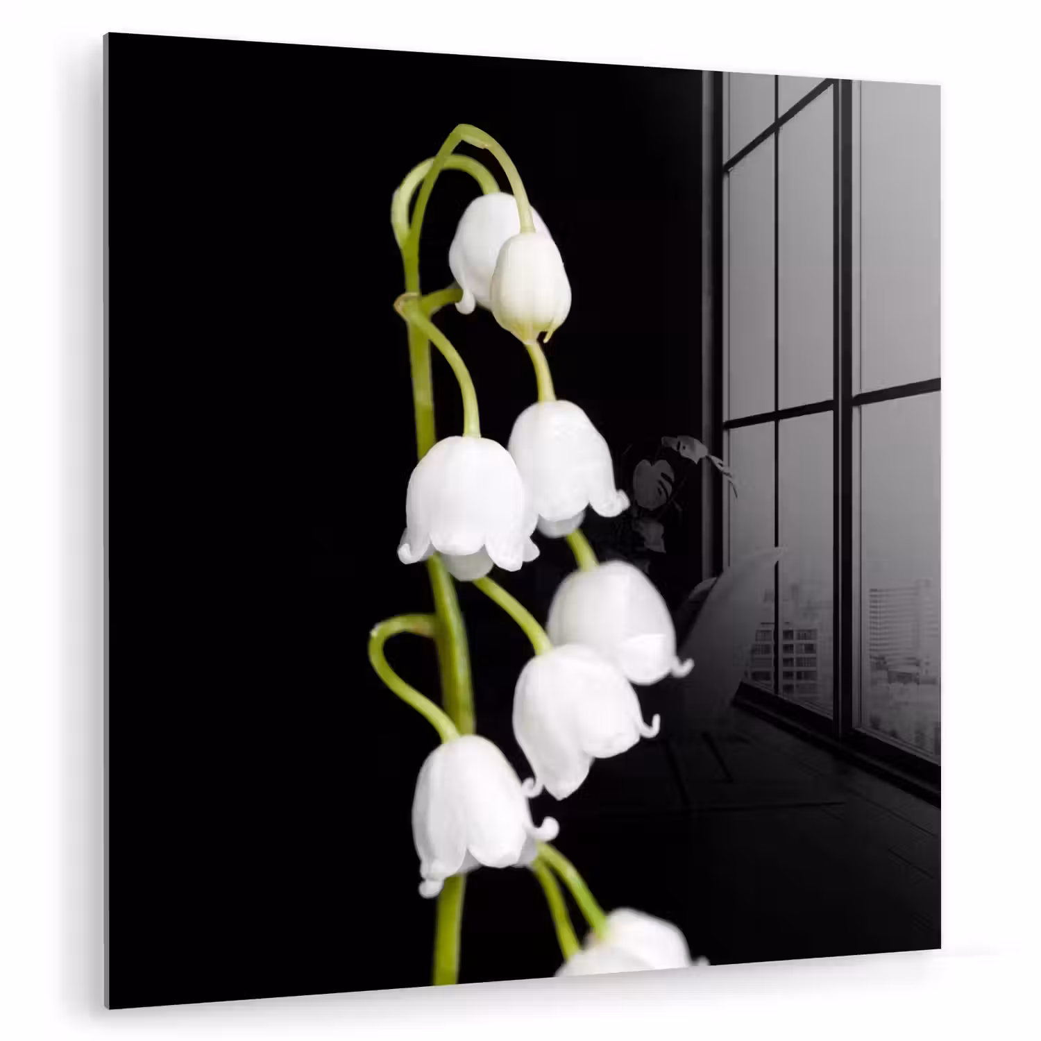 Lelietjes van dalen - Bloemen - Zwart - Flora plexiglas 5mm klein -zzzproduct_nieuw