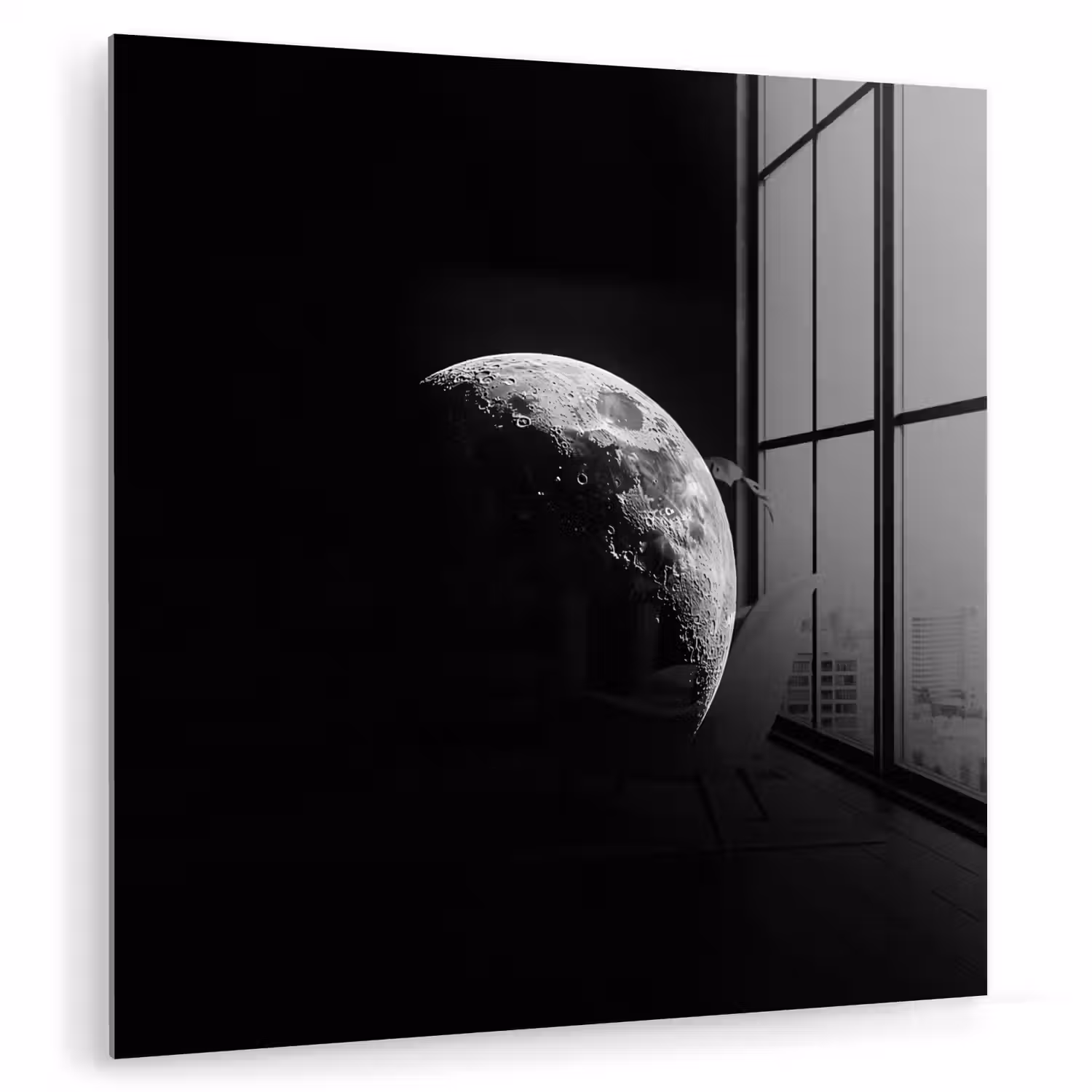 Maan - Hemel - Zwart - Schaduw plexiglas 5mm klein -zzzproduct_nieuw