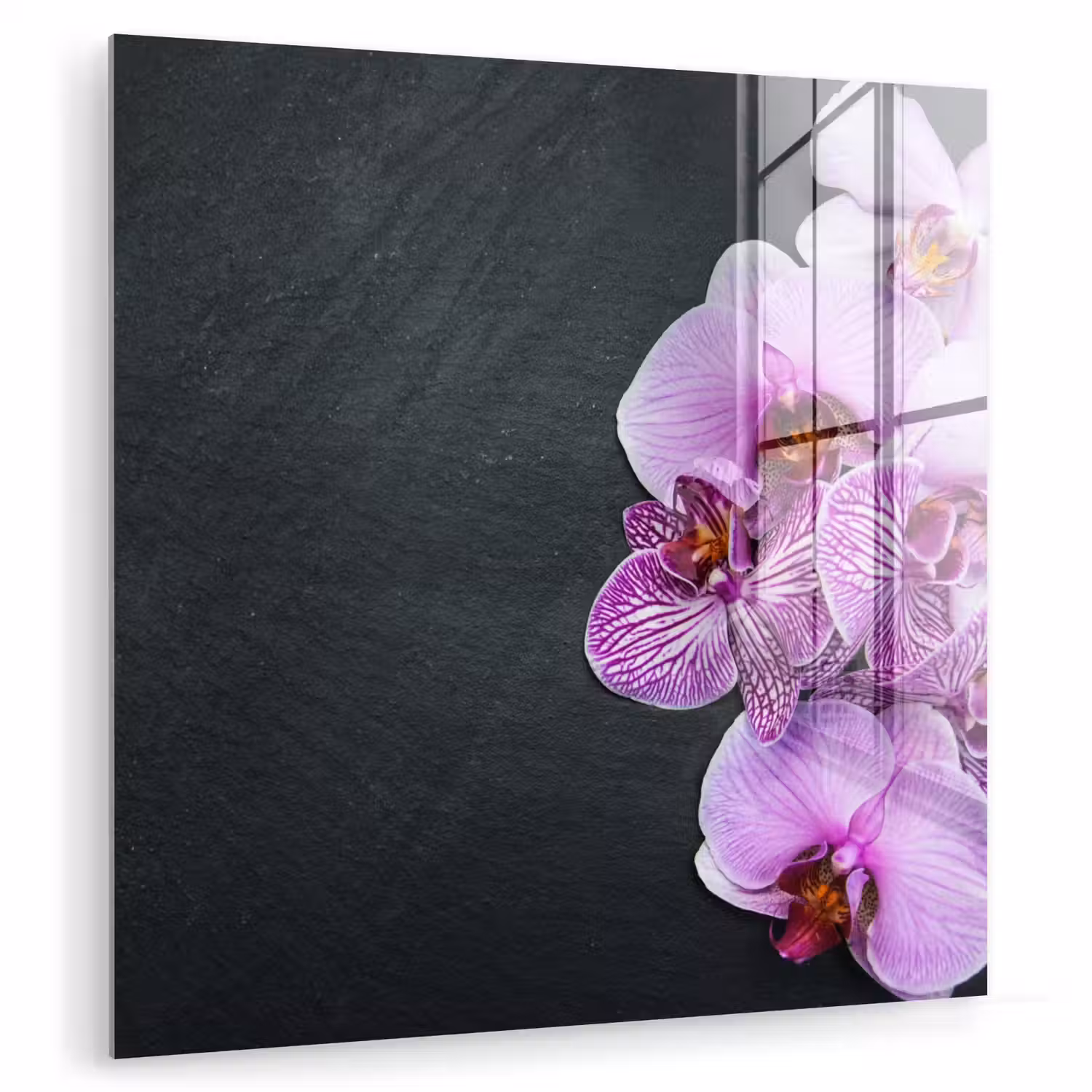 Orchidee - Bloemen - Roze - Flora plexiglas 5mm klein -zzzproduct_nieuw