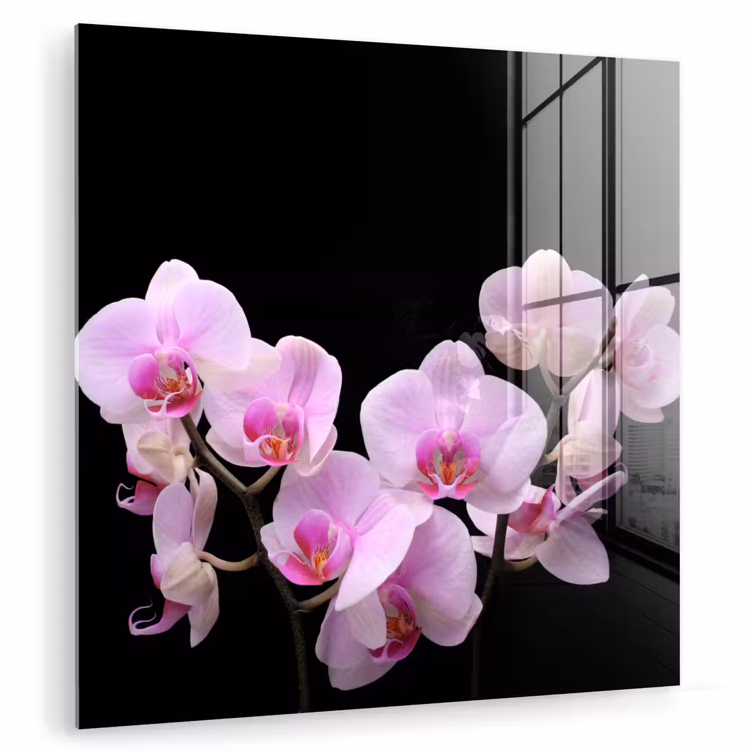 Orchidee - Bloemen - Roze - Flora plexiglas 5mm klein -zzzproduct_nieuw