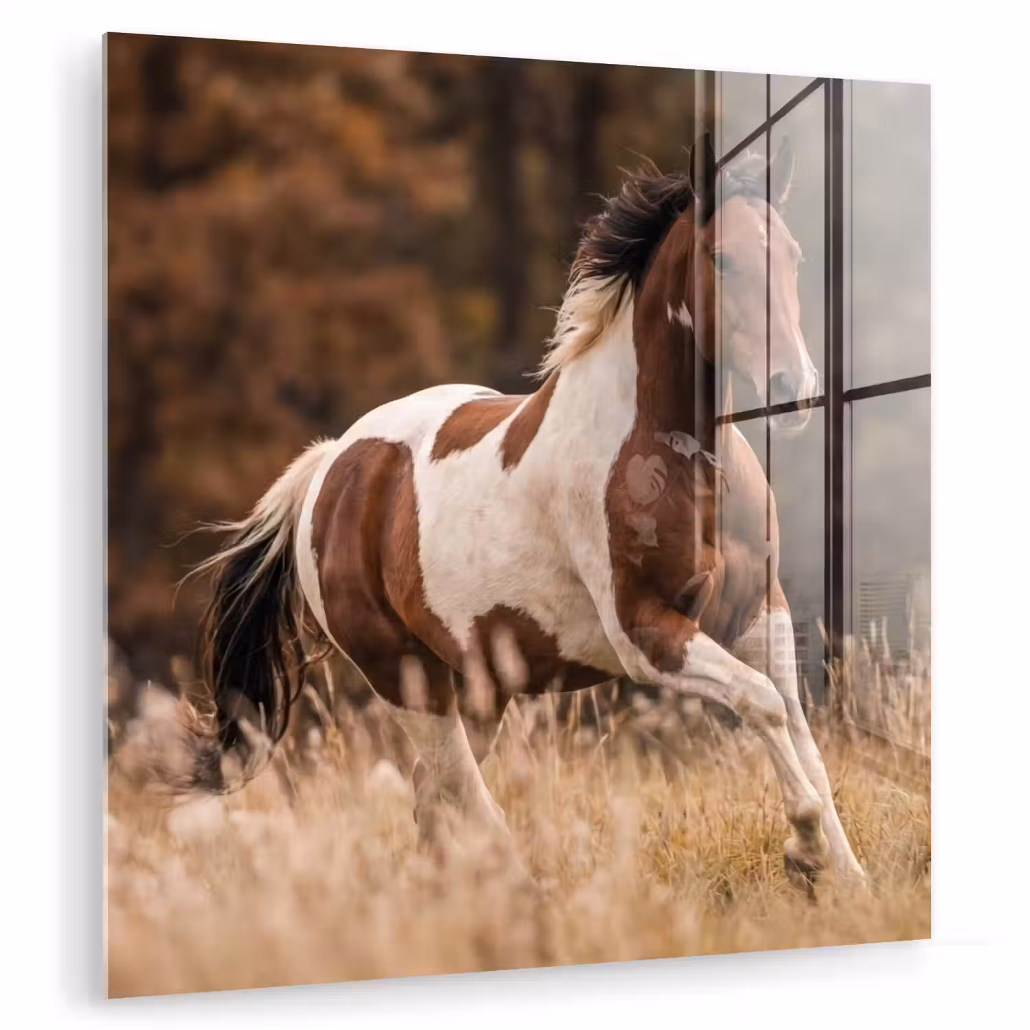 Paard - Bruin - Gras plexiglas 5mm klein -zzzproduct_nieuw